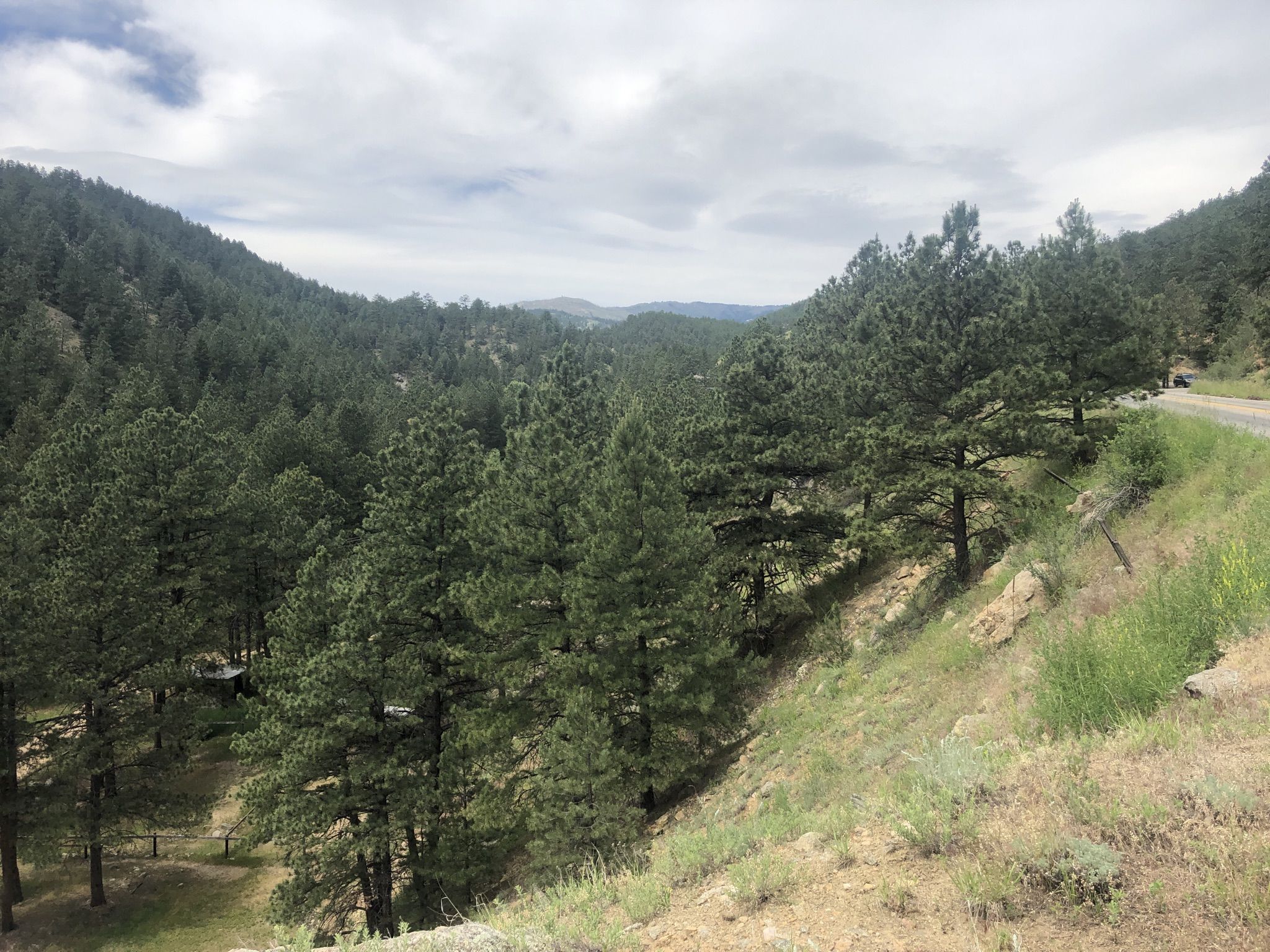 A vast, dense pine forest covers rolling hills under a cloudy sky. - Poorman Road – Gold Hill General Store loop from Seven Hills