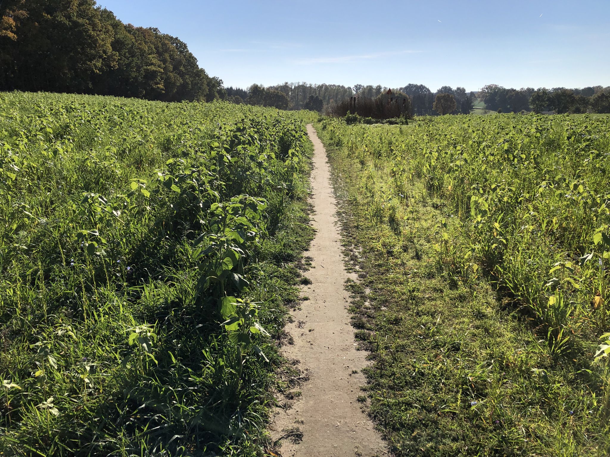 Am Ortberg.