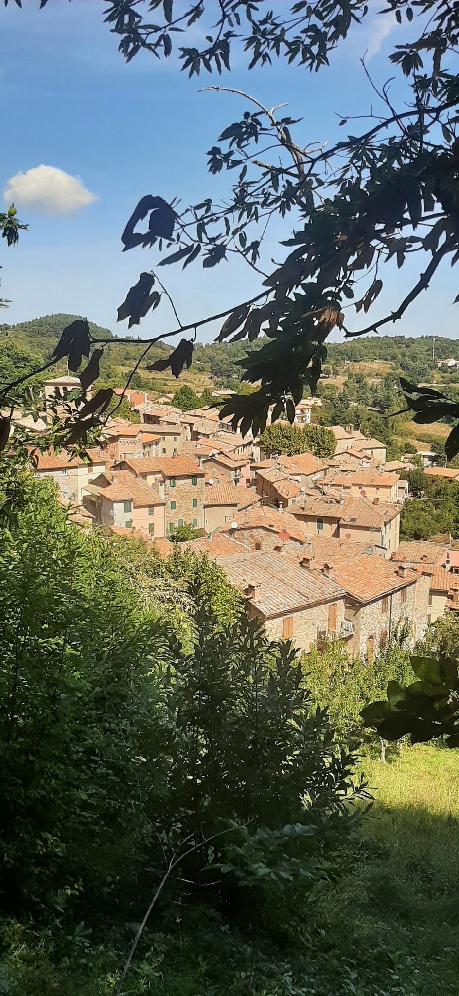 Montieri