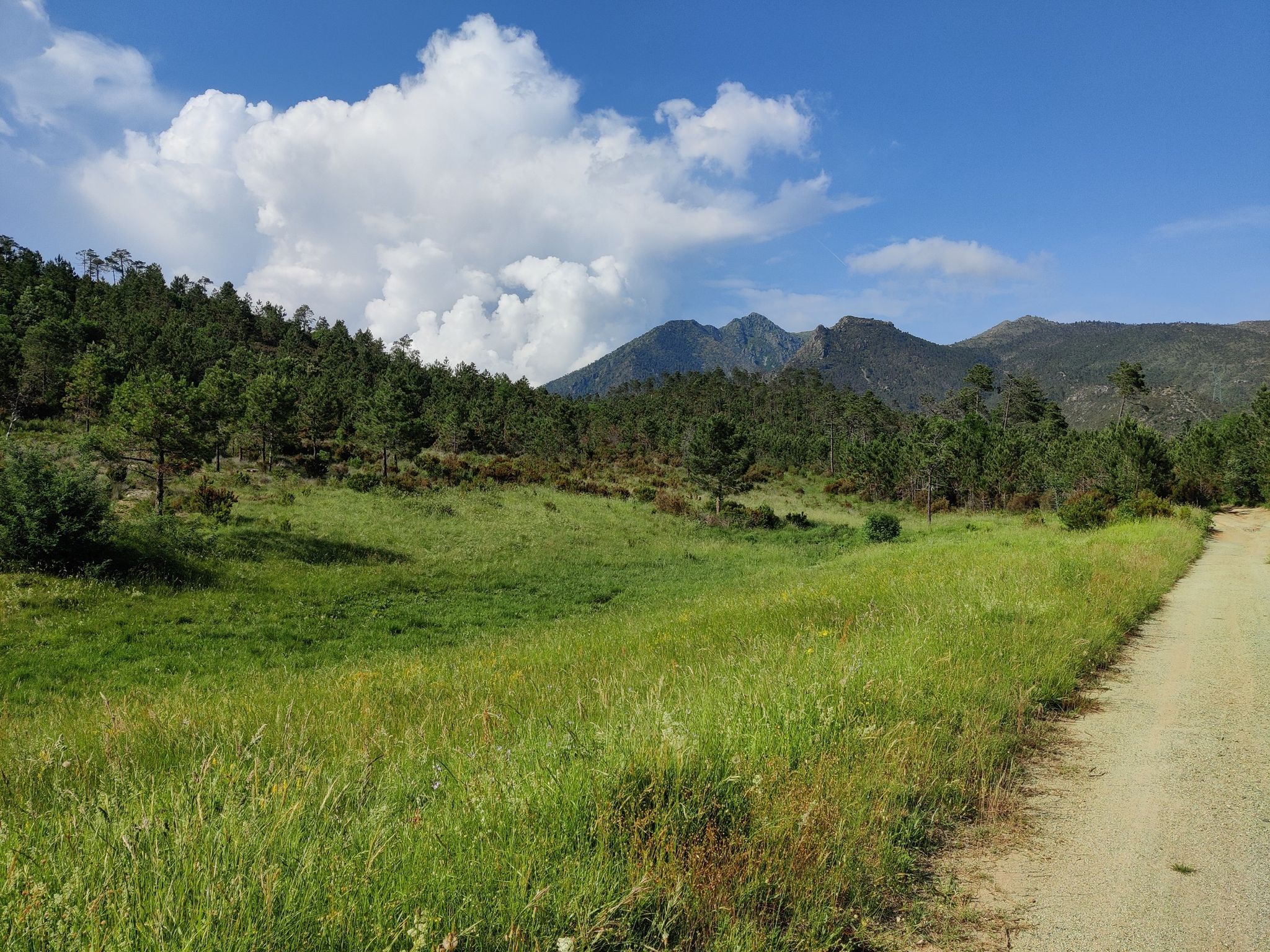 Piani di Prà