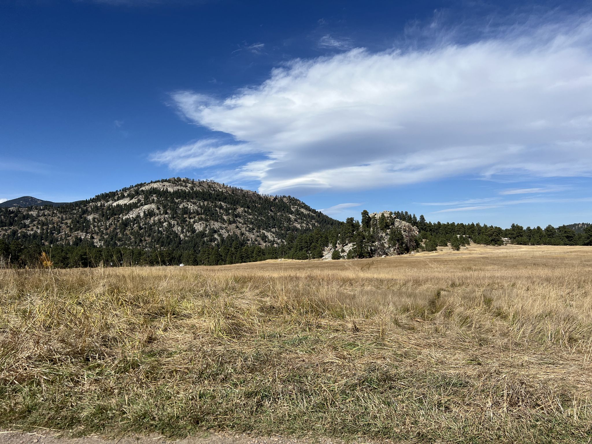 Dry grass field with forested hills and rocky outcrops under a blue sky. - Brother's Lookout and Three Sisters Loop