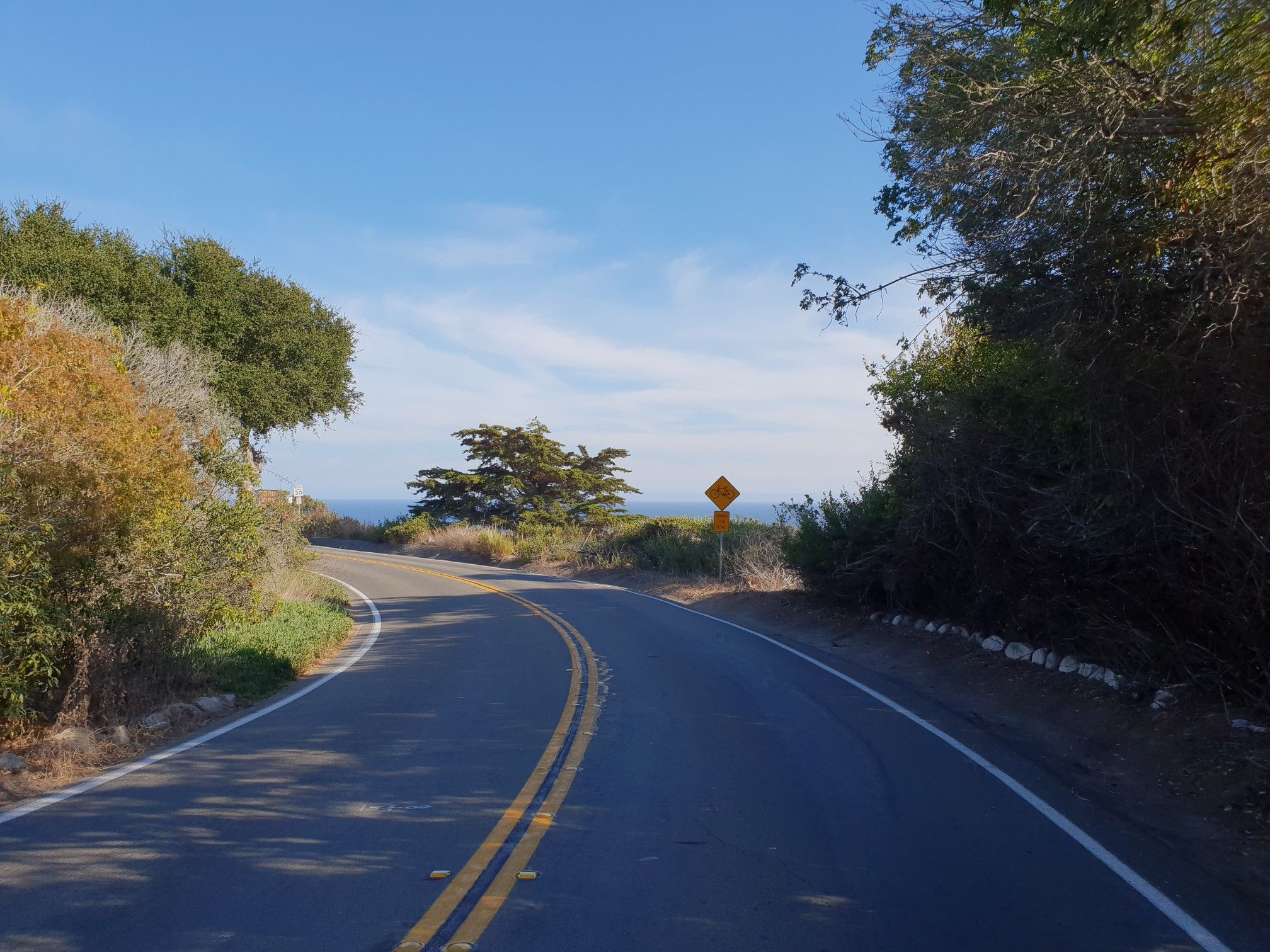 A winding paved road through green foliage with ocean in distance. - Elings Park – Modoc Multi Use Trail loop from San Marcos High School