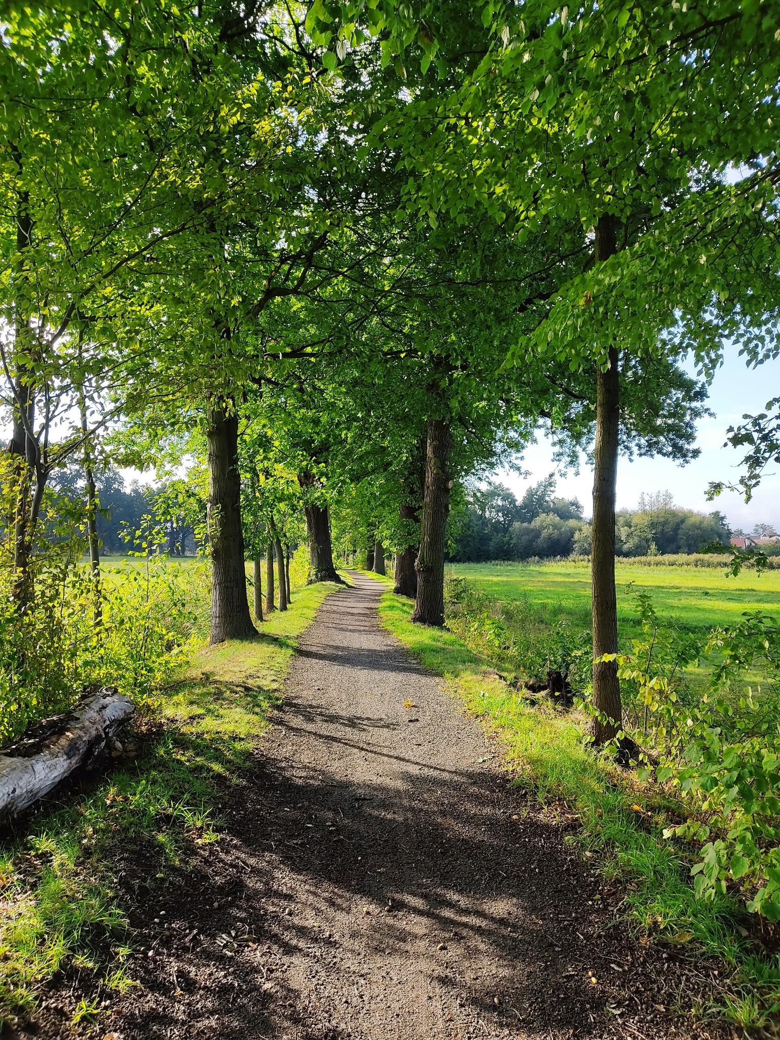 Wanderweg
