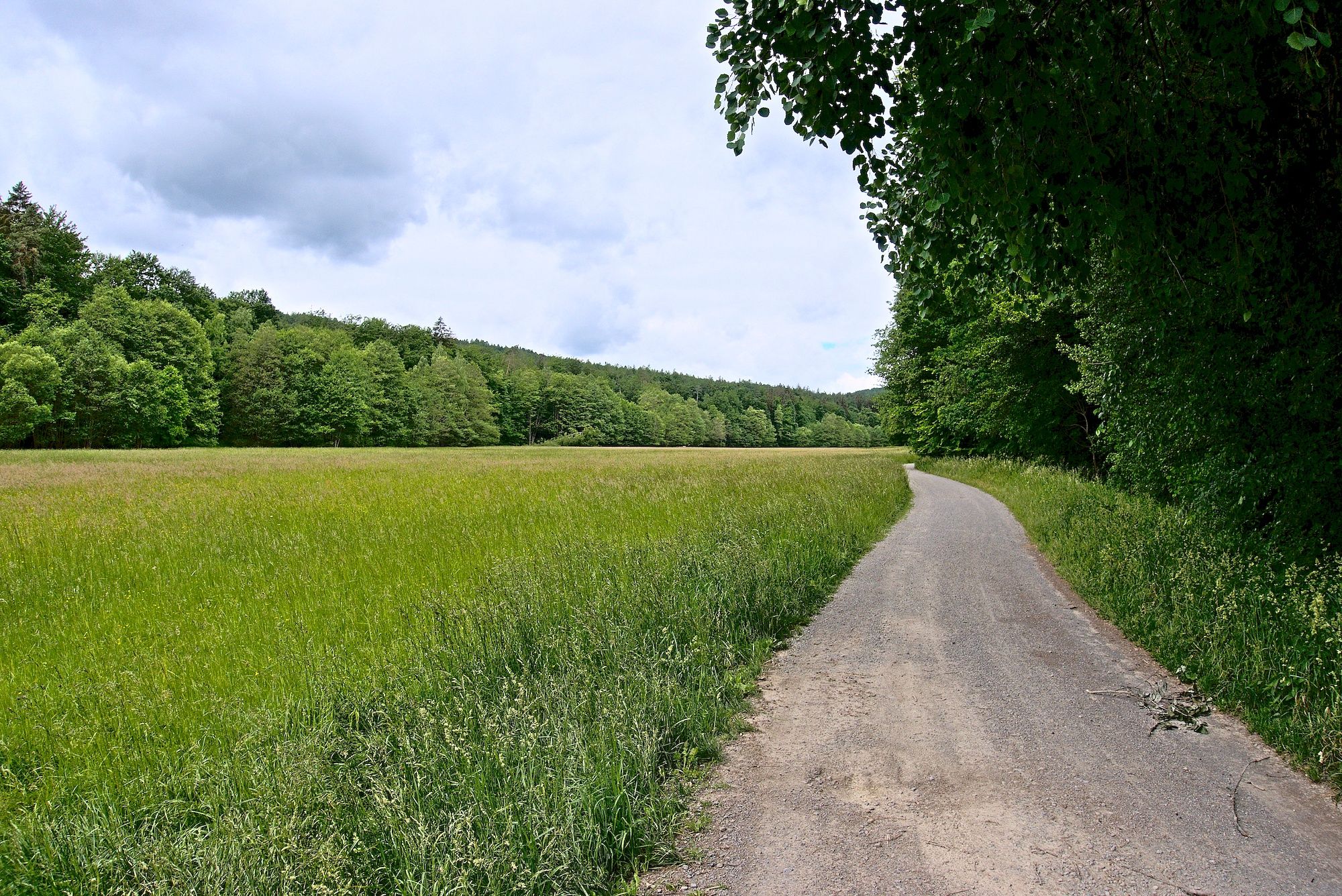 Fahrt durch das malerische Oehrbachtal