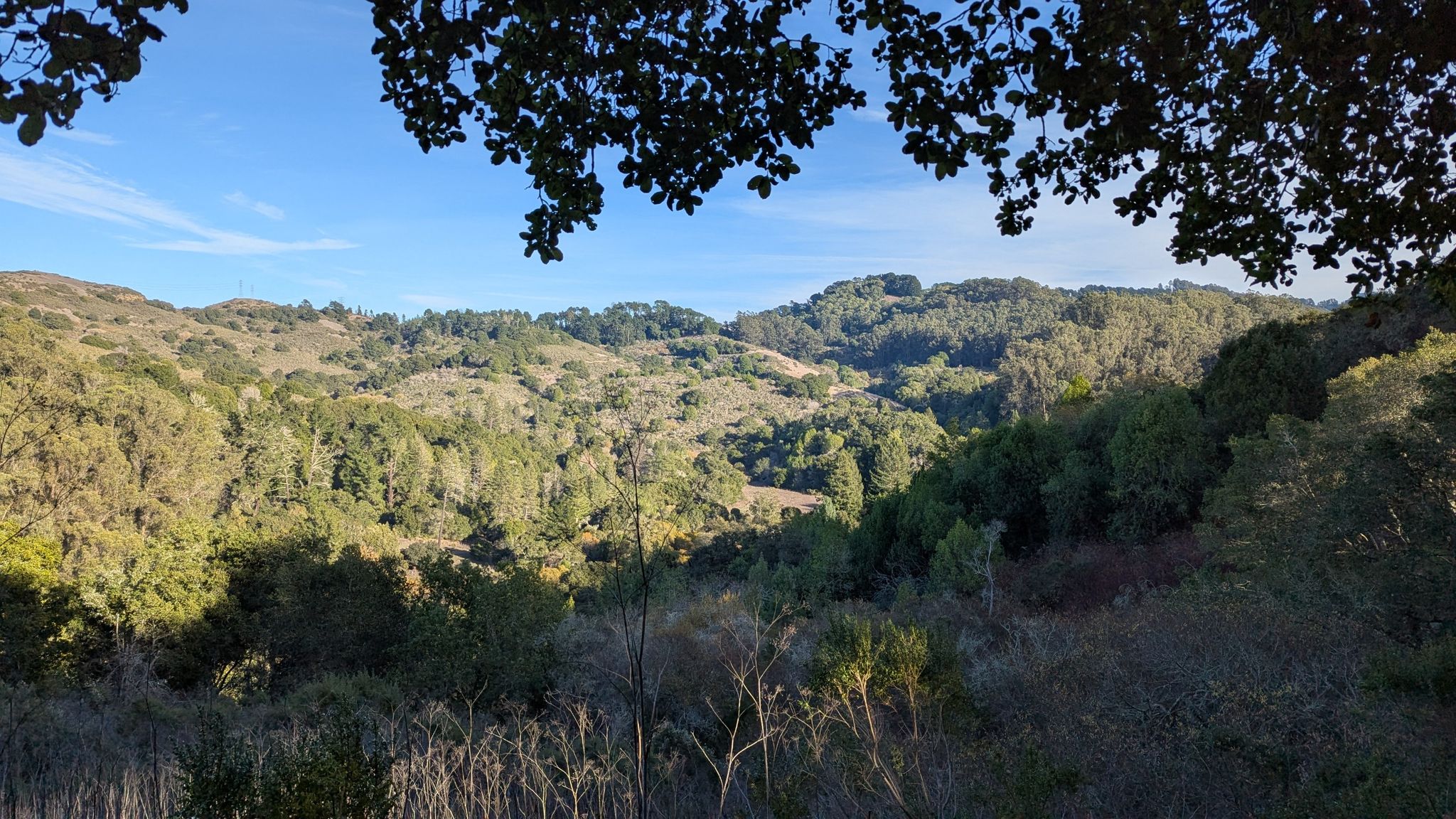 Sunny view of rolling forested hills under a clear blue sky. - Meadows Canyon Trail – Lake Anza loop from Kensington