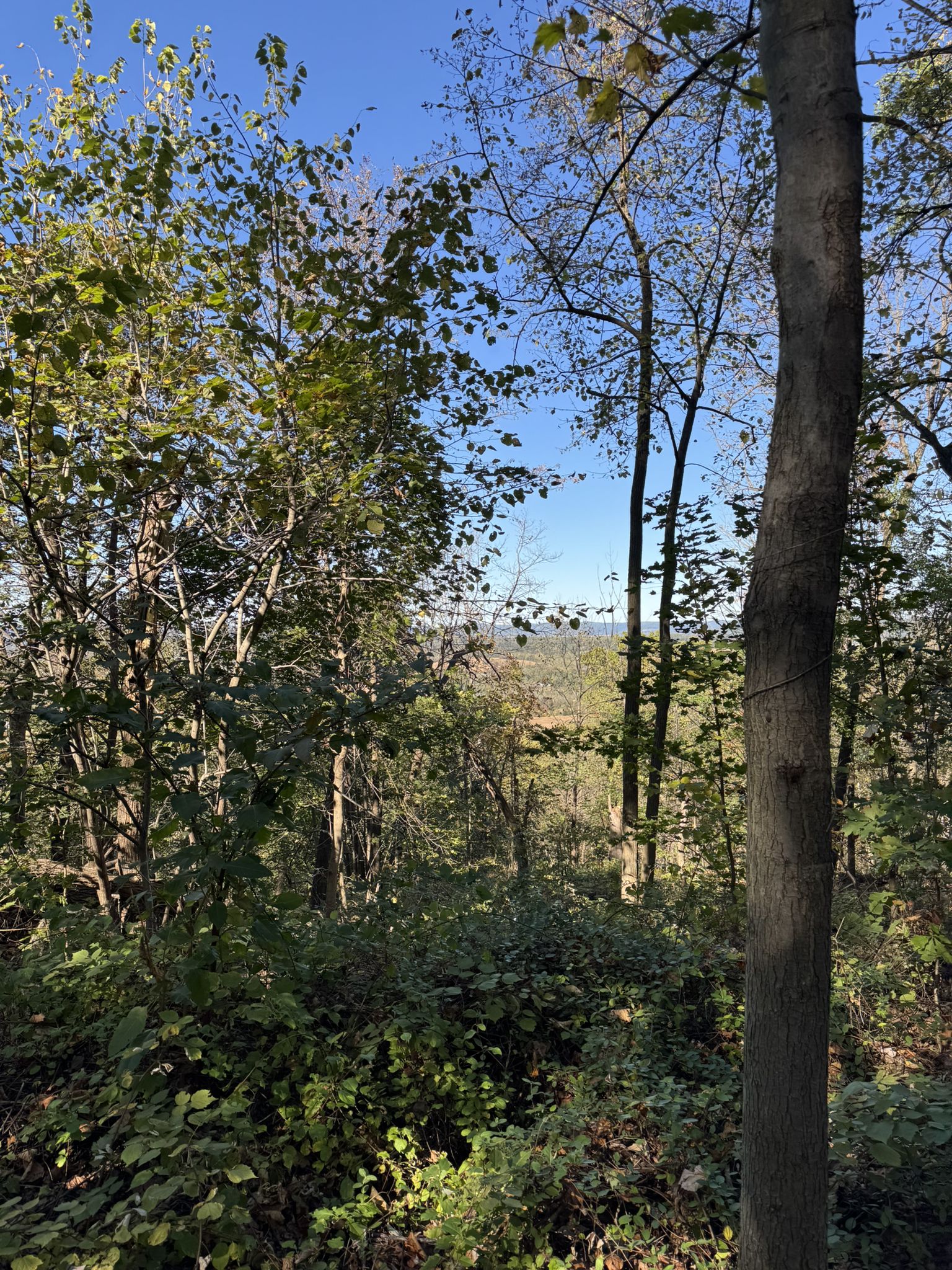 A scenic view of distant hills through green forest foliage on a clear day. - Monocacy Hill Recreation Area – Monocacy Hill Recreation Area loop from Amity Township