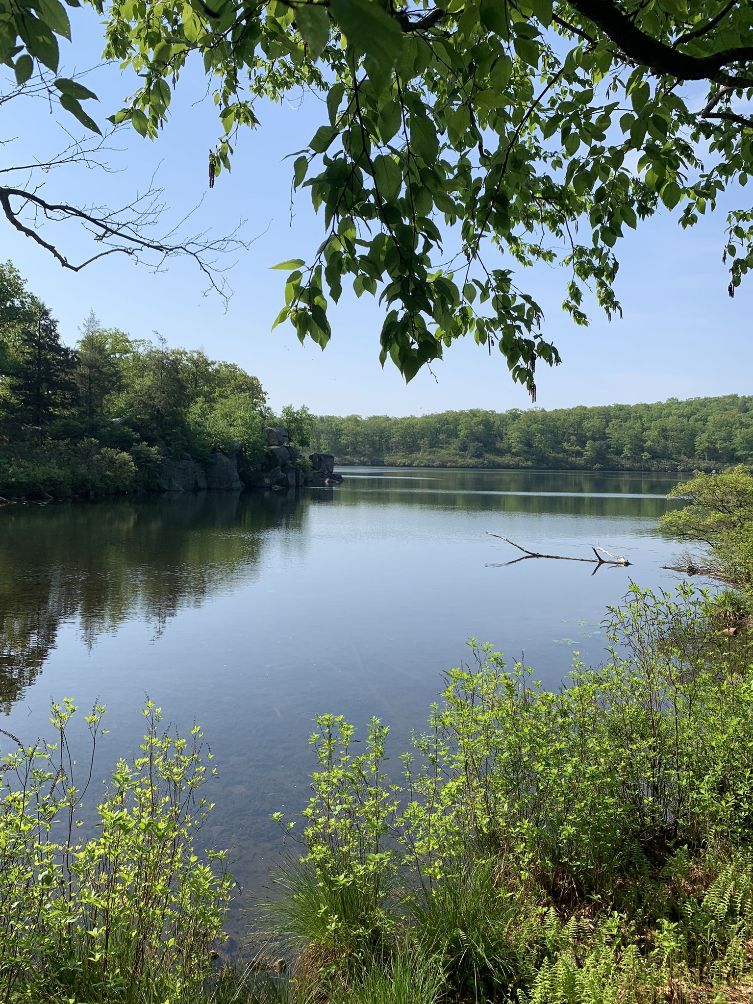 Serene lake reflecting lush green trees under a bright blue sky. - Pine Meadow Lake Loop
