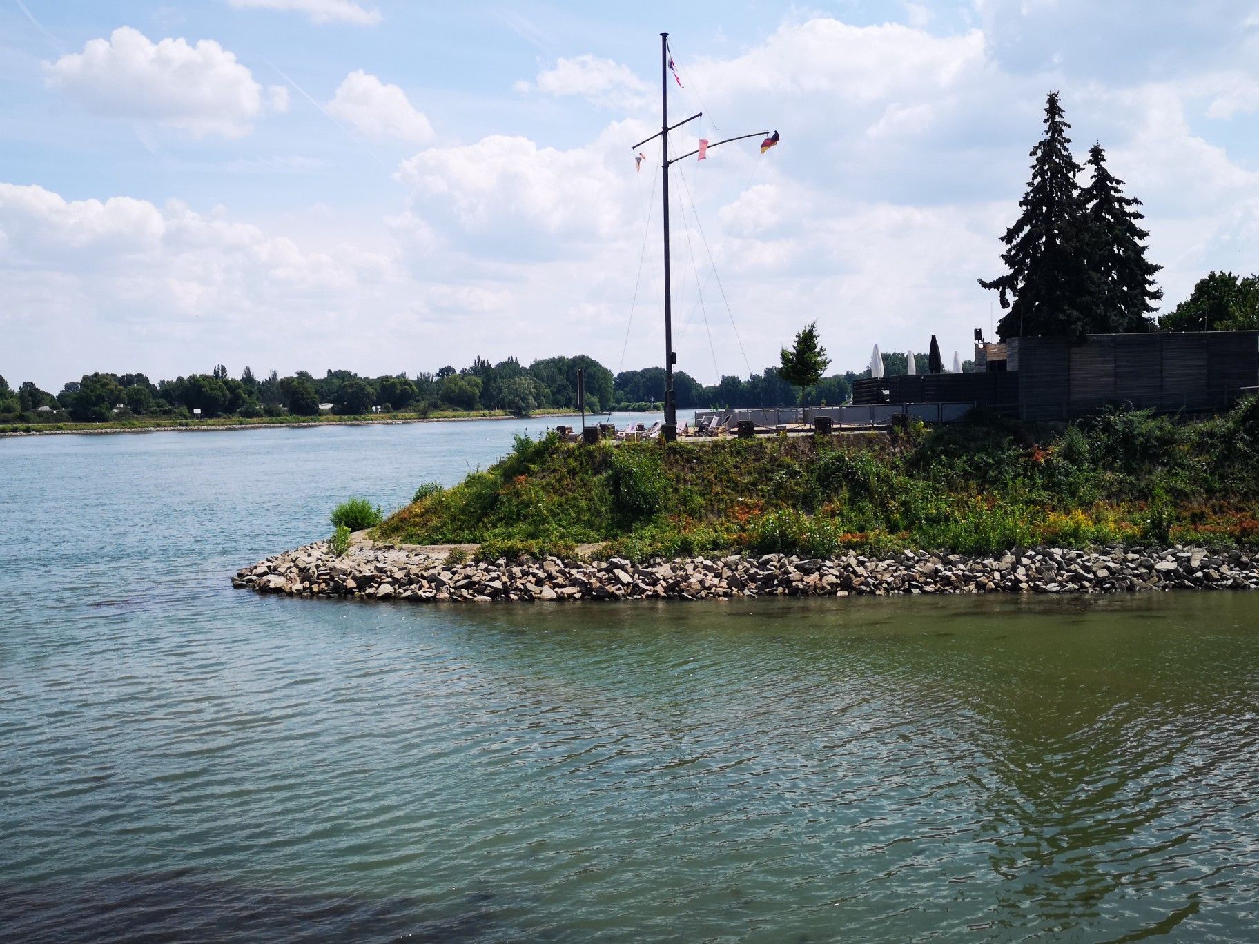 Am Heimat Fluß Rhein ❤️