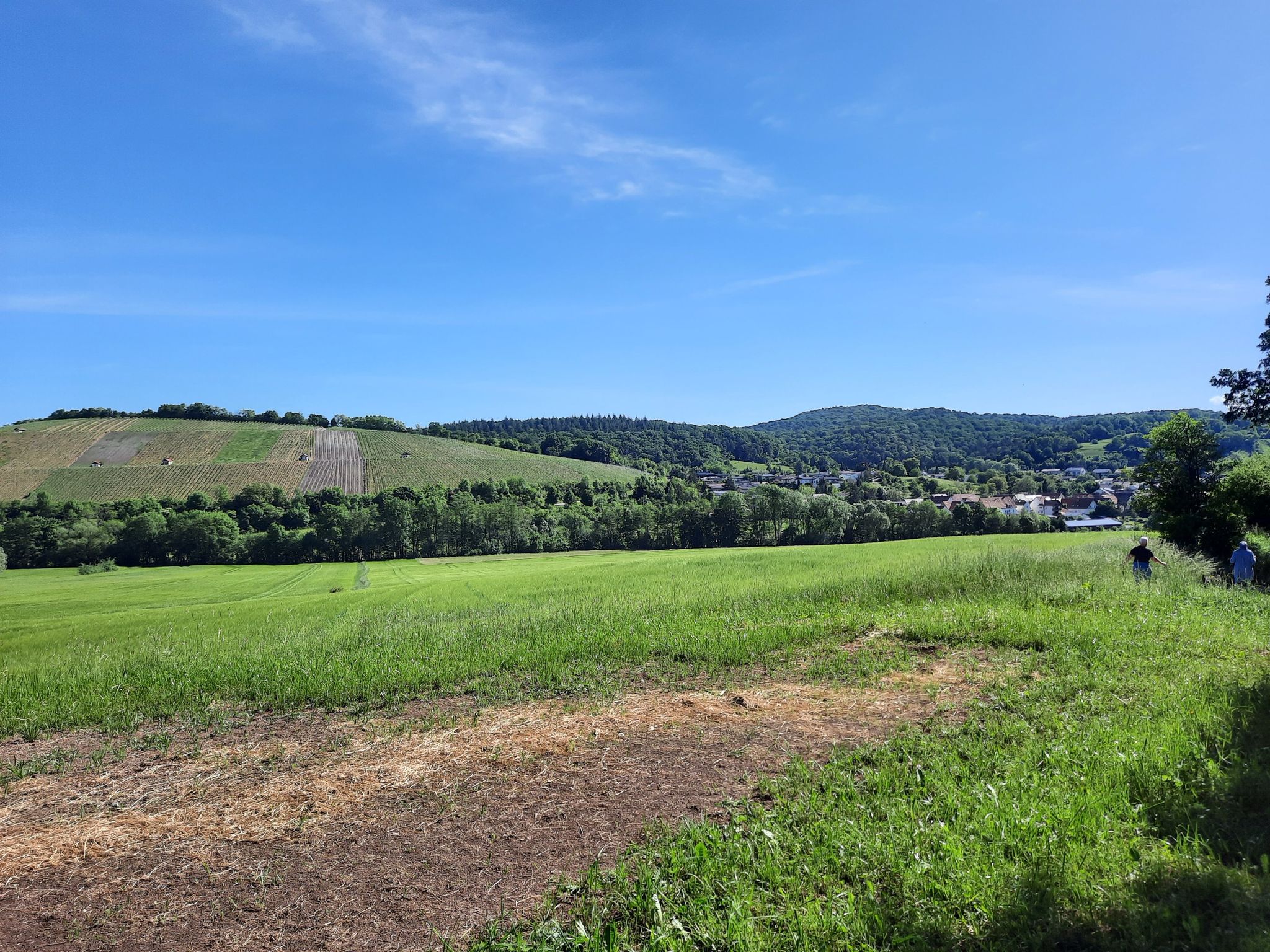 Blick auf Häfnerhaslach