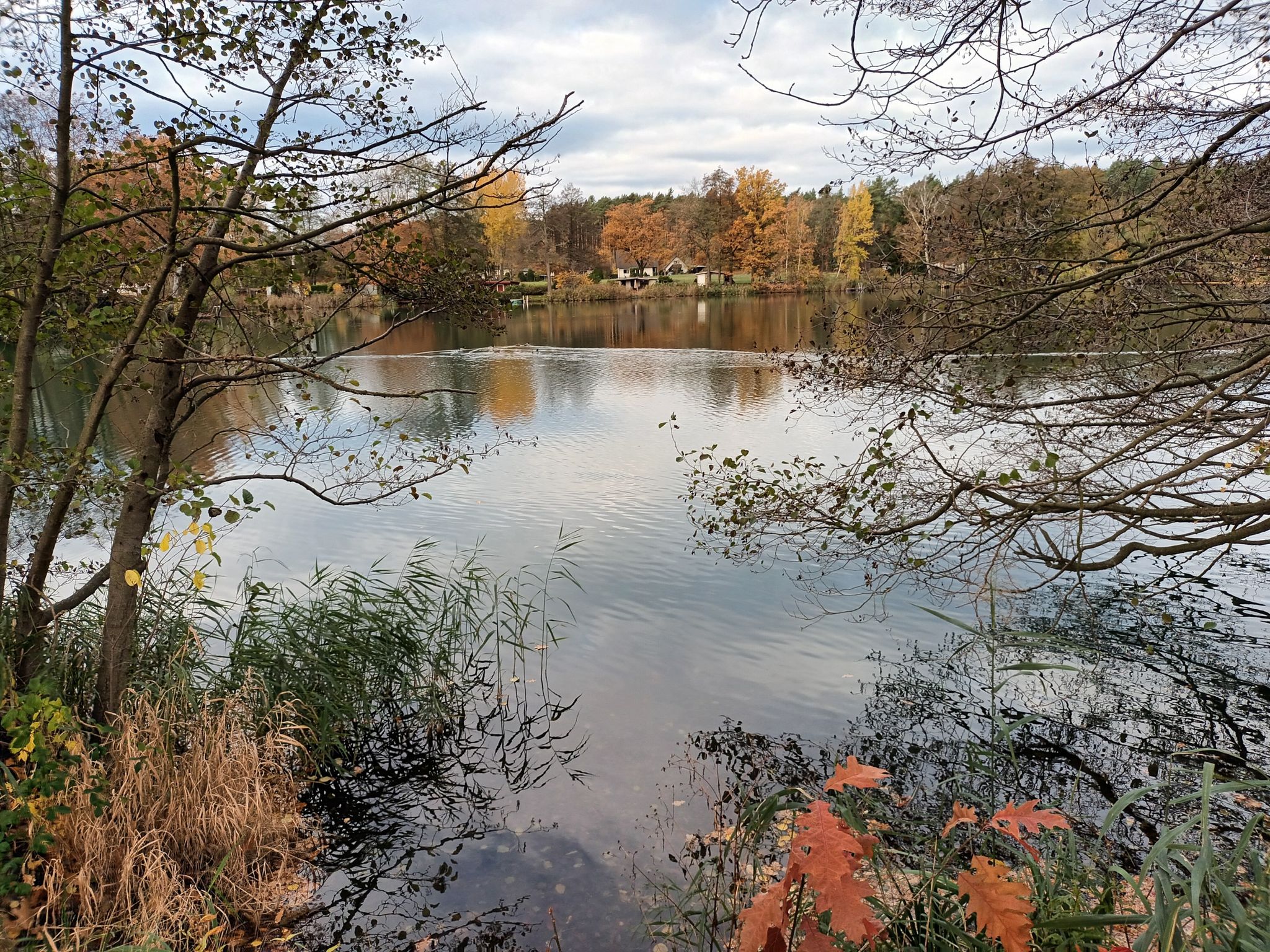der Mühlenteich