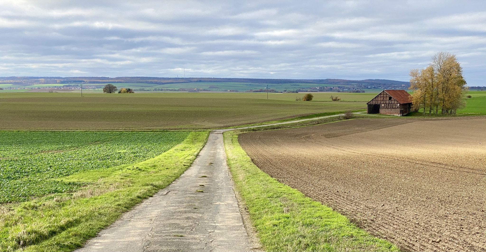 Blick auf den Elm