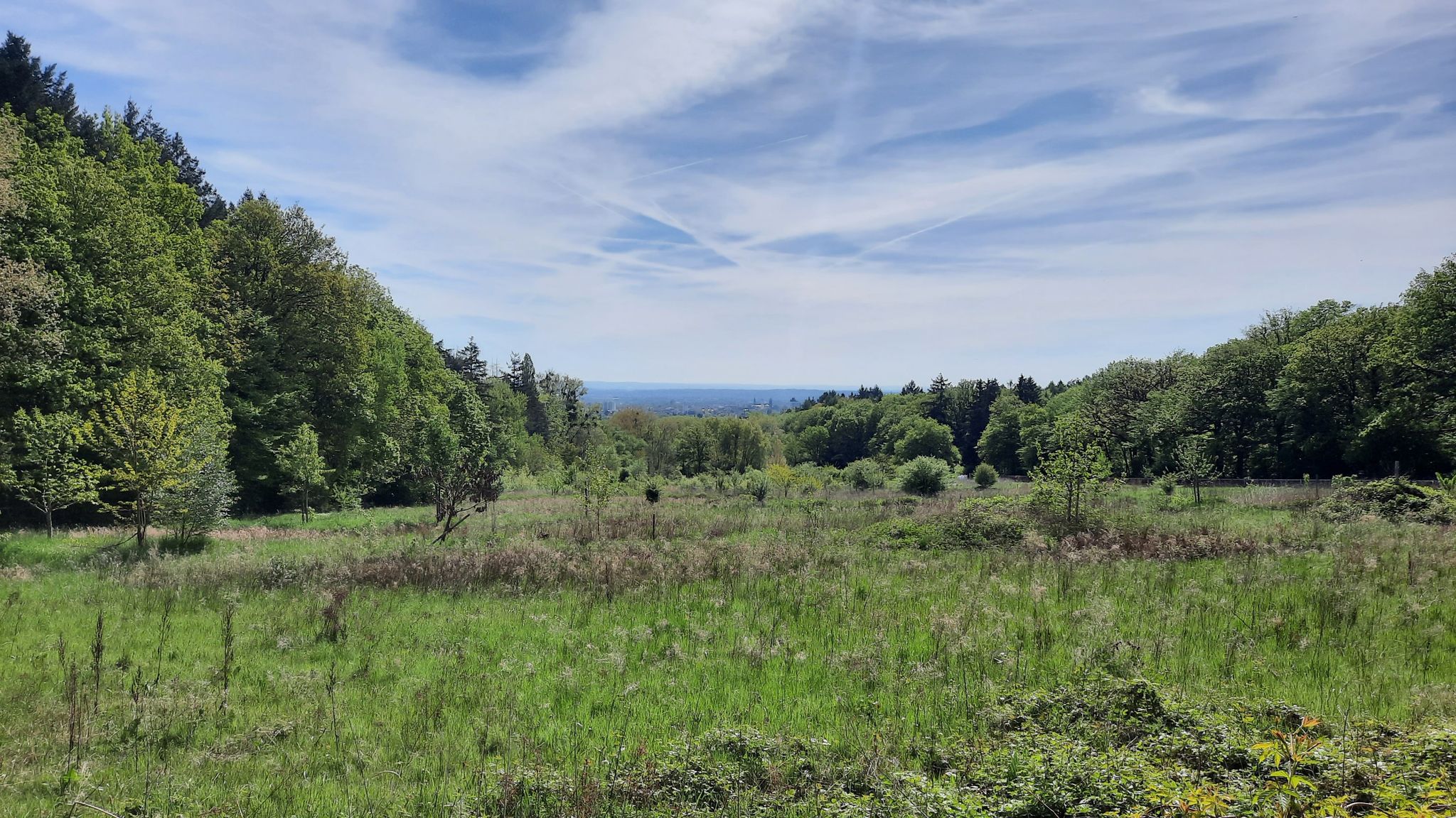 Bad Homburg im Tal gelegen
