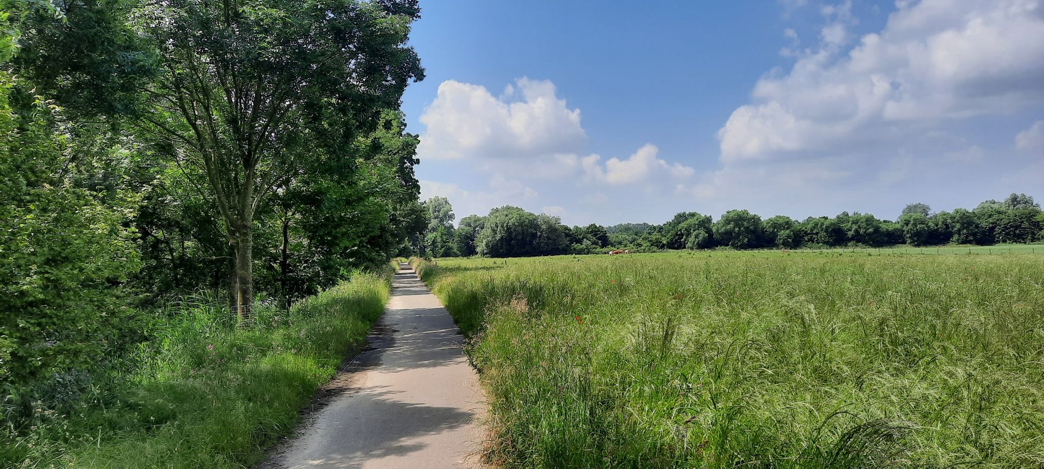 Im O-Kamp bei Doverack