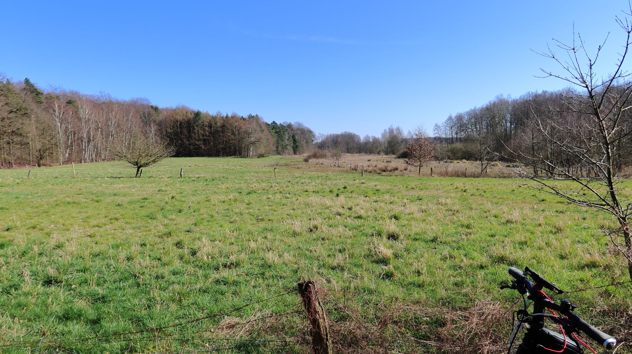 Im NSG Speckenbachtal östlich von Siedenburg