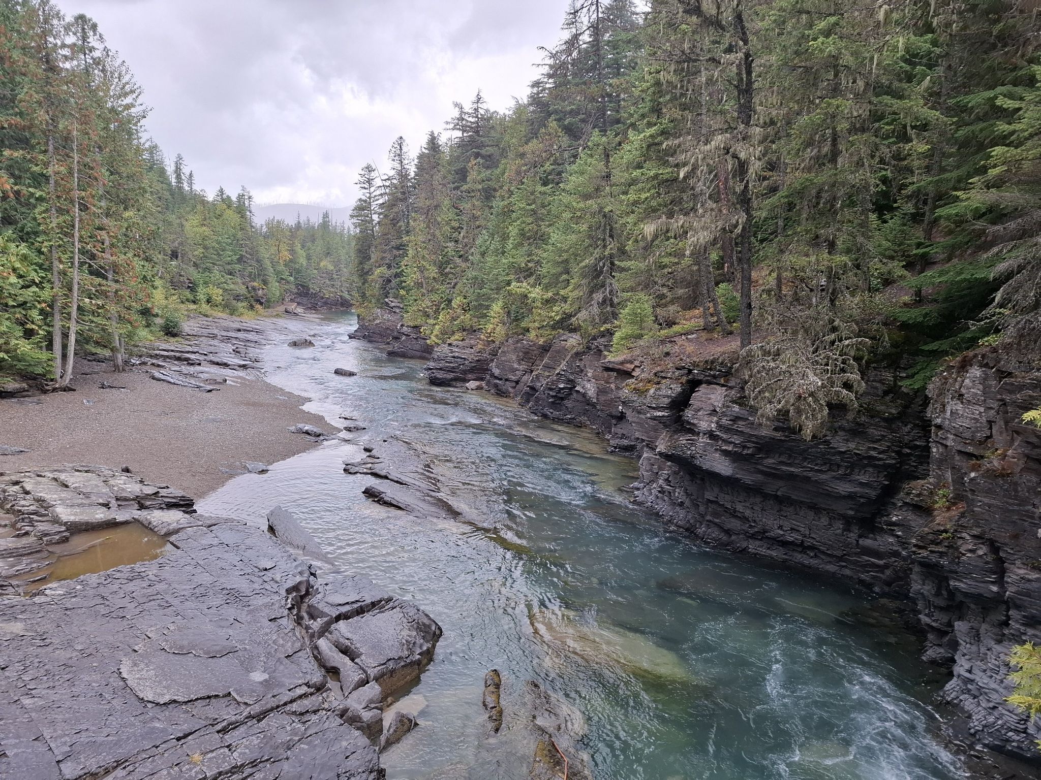 A wide river flowing between a rocky bank and a dense forest under cloudy skies. - McDonald Falls – Johns Lake loop from Lake McDonald Lodge