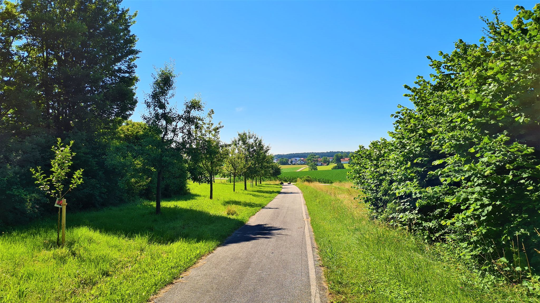 Weg zur Streuobstwiese