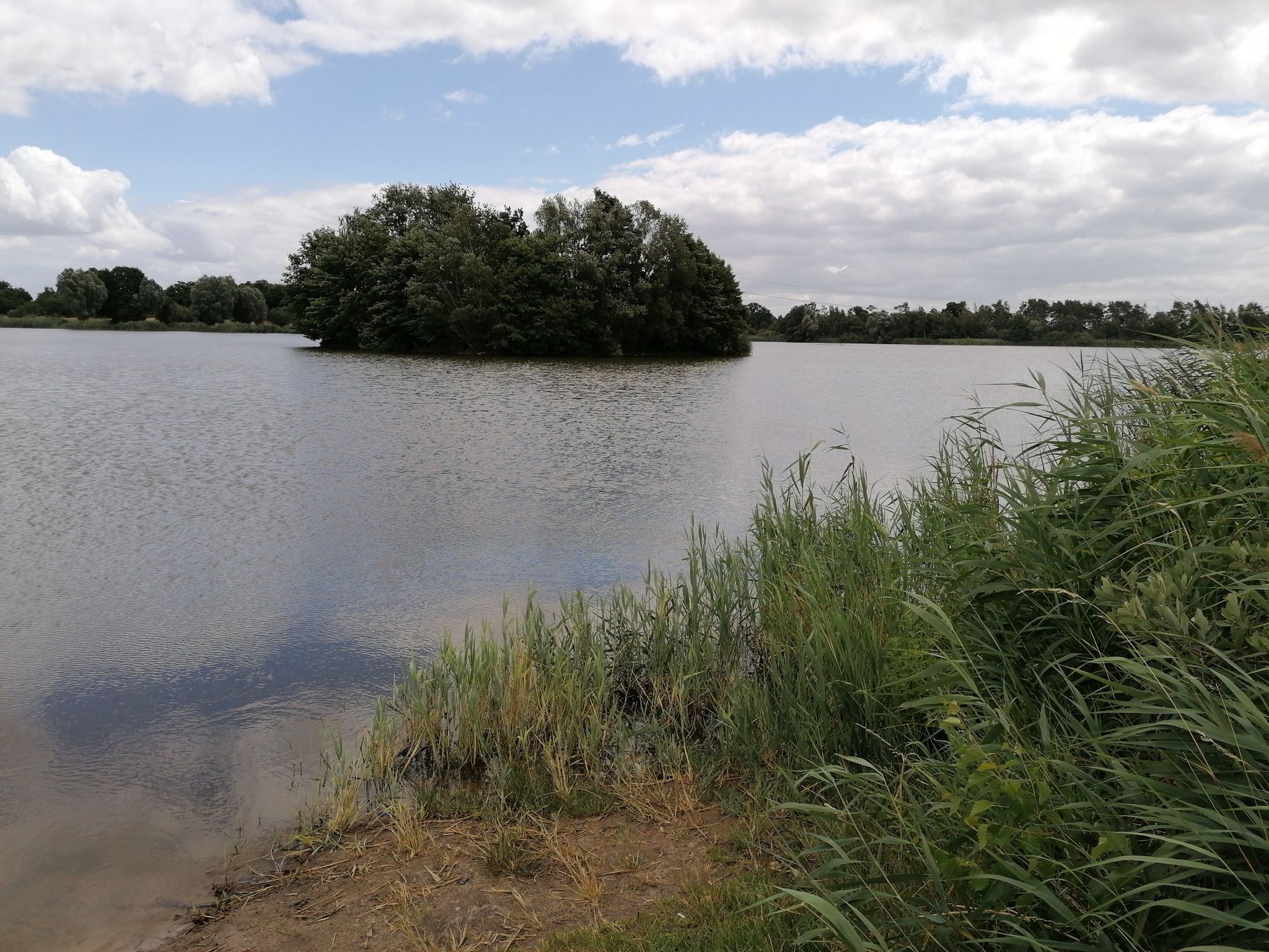 Kiesgrube am Waldfrieden