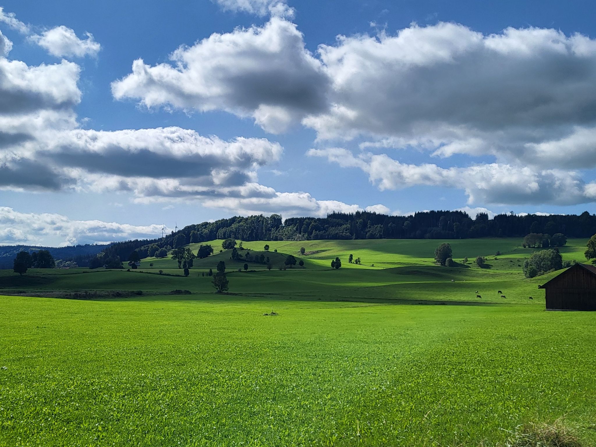 .....aber gigantische Wolken gibt es