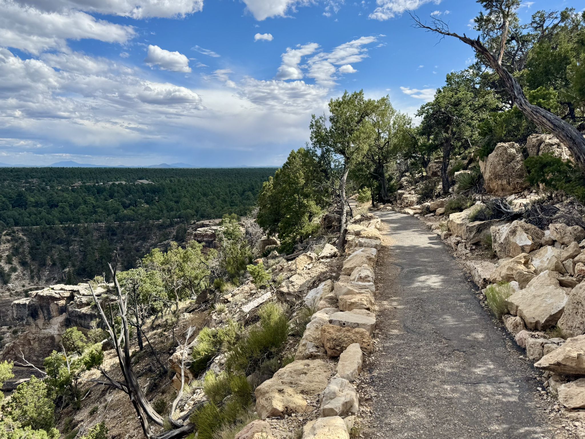 Winding dirt path along a rocky cliff edge with green trees and distant forest. - Powell Point – Bright Angel Trailhead loop from Grand Canyon