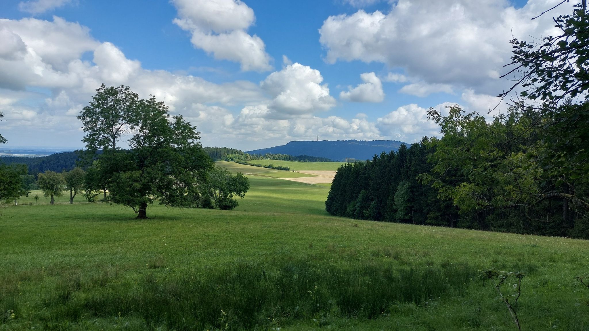 Unweit der Schörzinger Hütte, im Hintergrund der Plettenberg