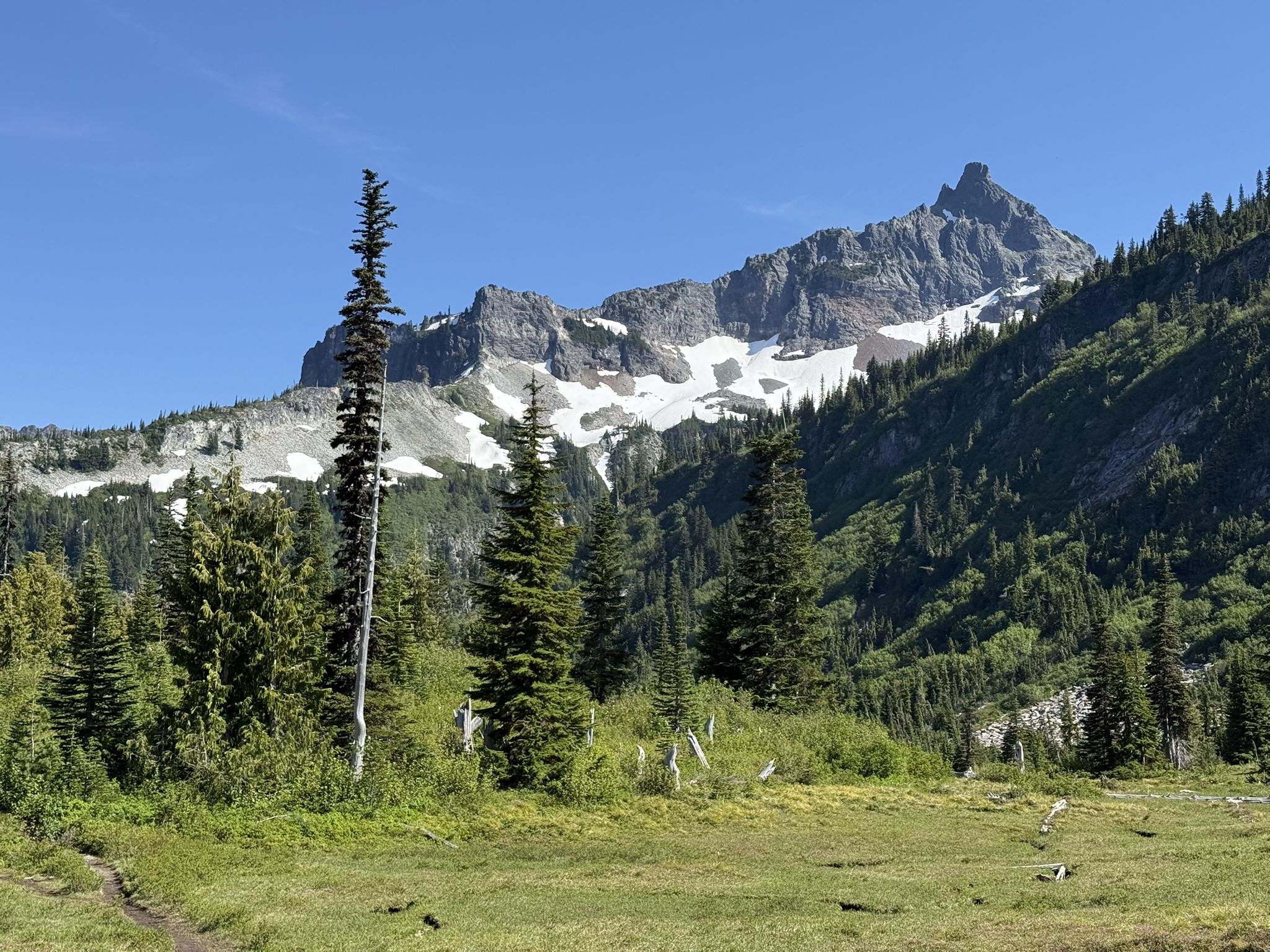 Rocky, snow-dusted mountains rise above a green meadow and evergreen forest. Sunny. - Bench and Snow Lake Trail