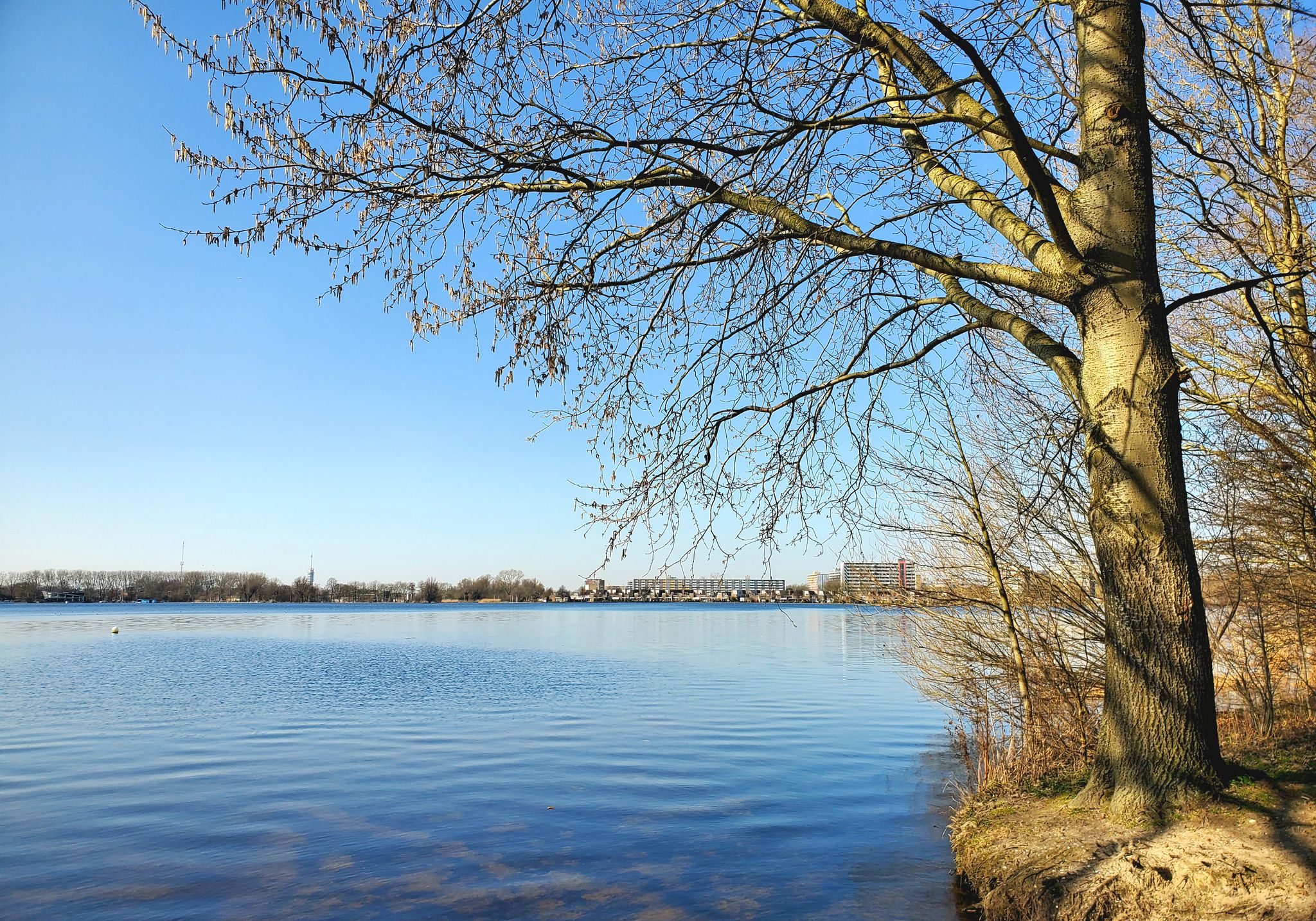 Picknickplek aan de Zegerplas, Alphen a/d Rijn