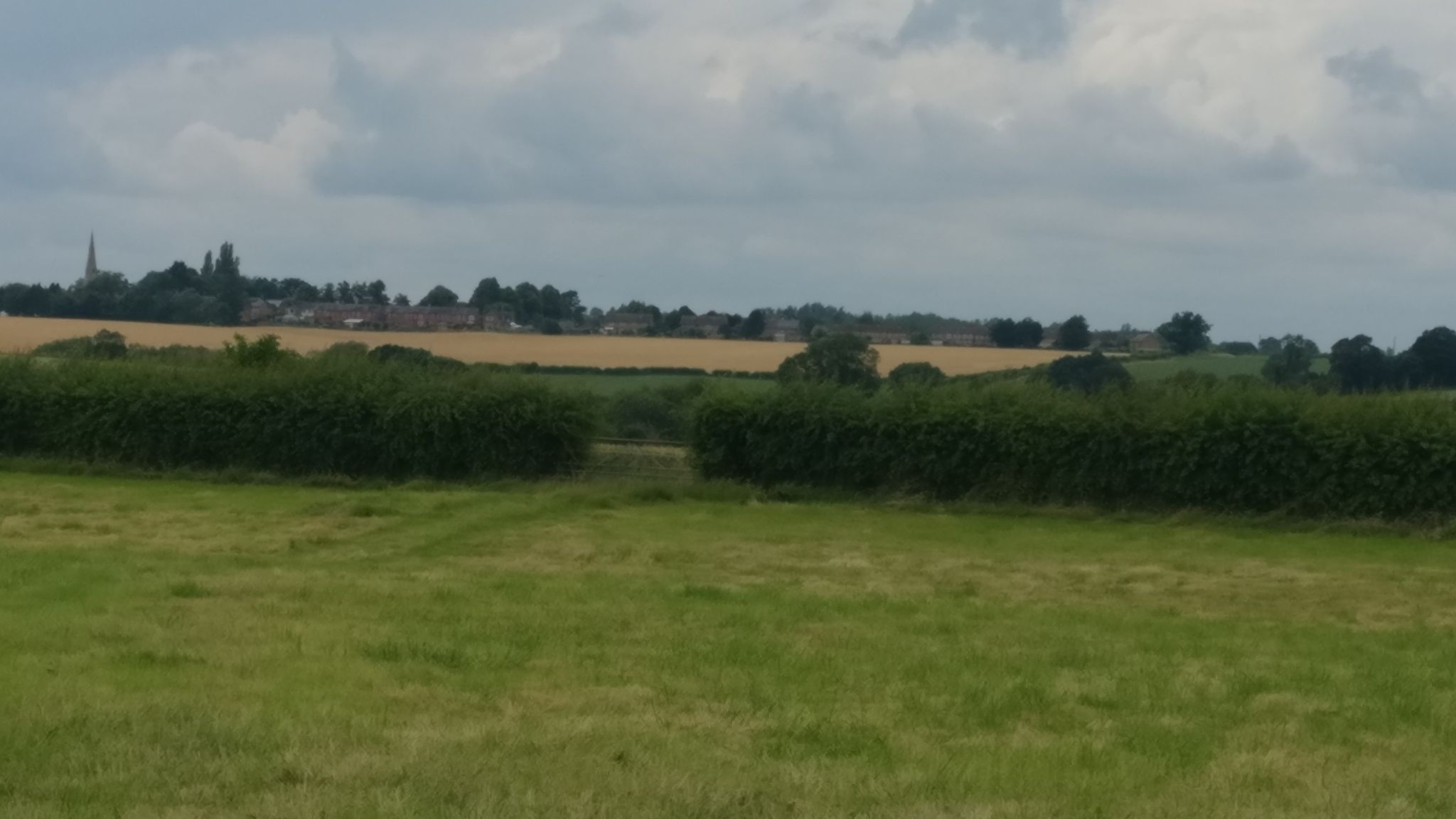 Loddington