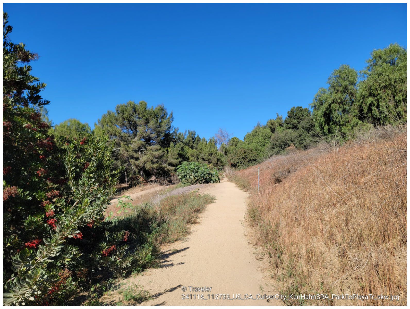 A wide dirt path winds through a sunny, wooded area with dry grass. - Gwen Moore Lake and Western Ridgeline Loop