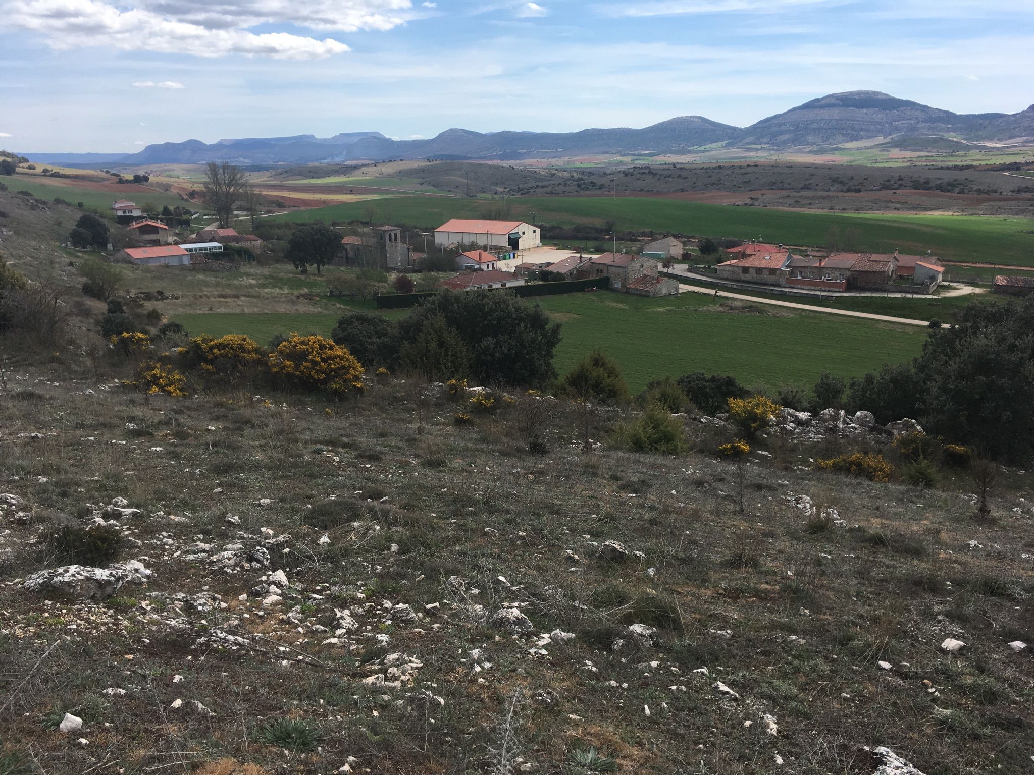 Cubillejo De Lara