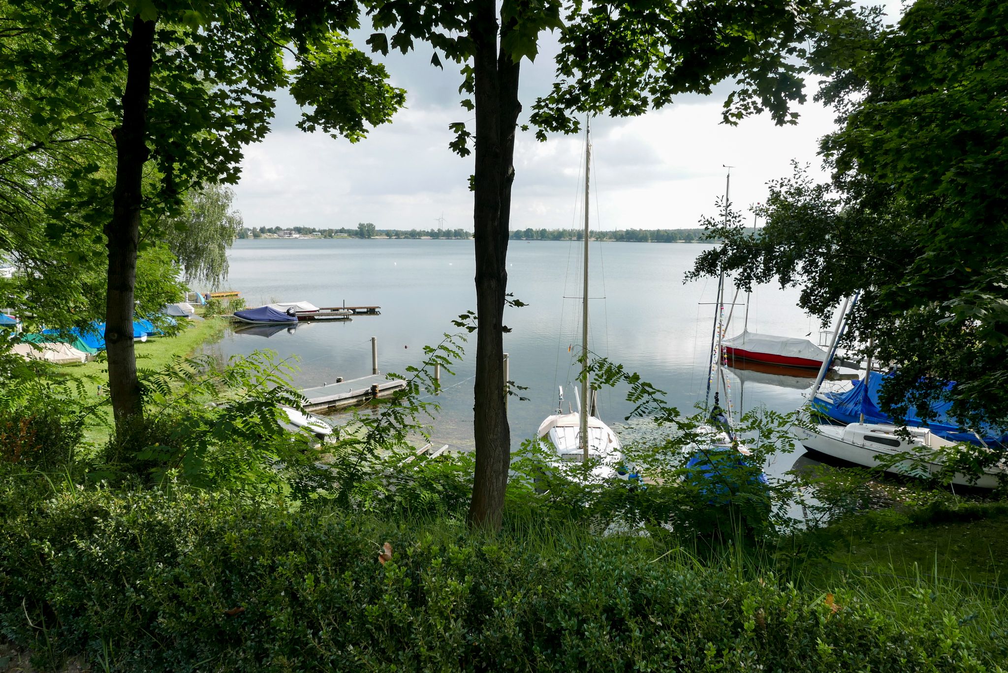 Bergwitzsee