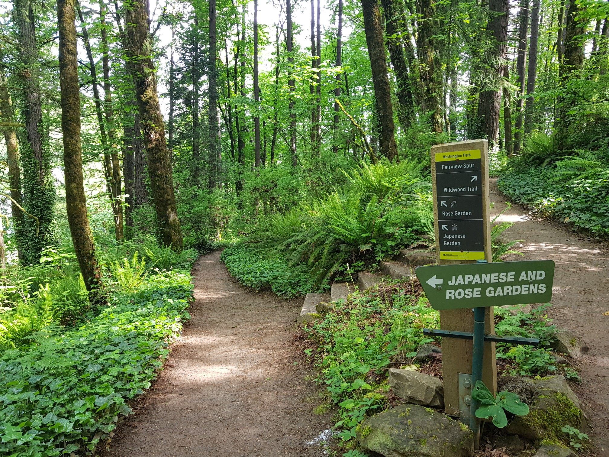 Fork in a sunny forest path with directional signs among green foliage. - MAX to MAC