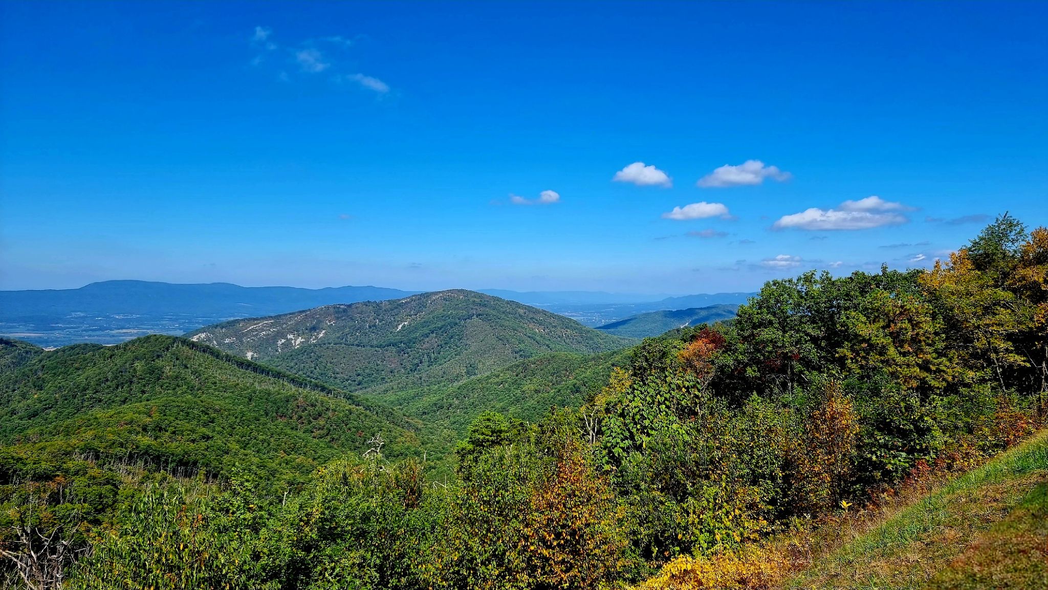 Sunny mountain vista with lush green and autumn trees under blue sky. - Skyline Drive – Swift Run Overlook loop from Turk Mountain Parking Area