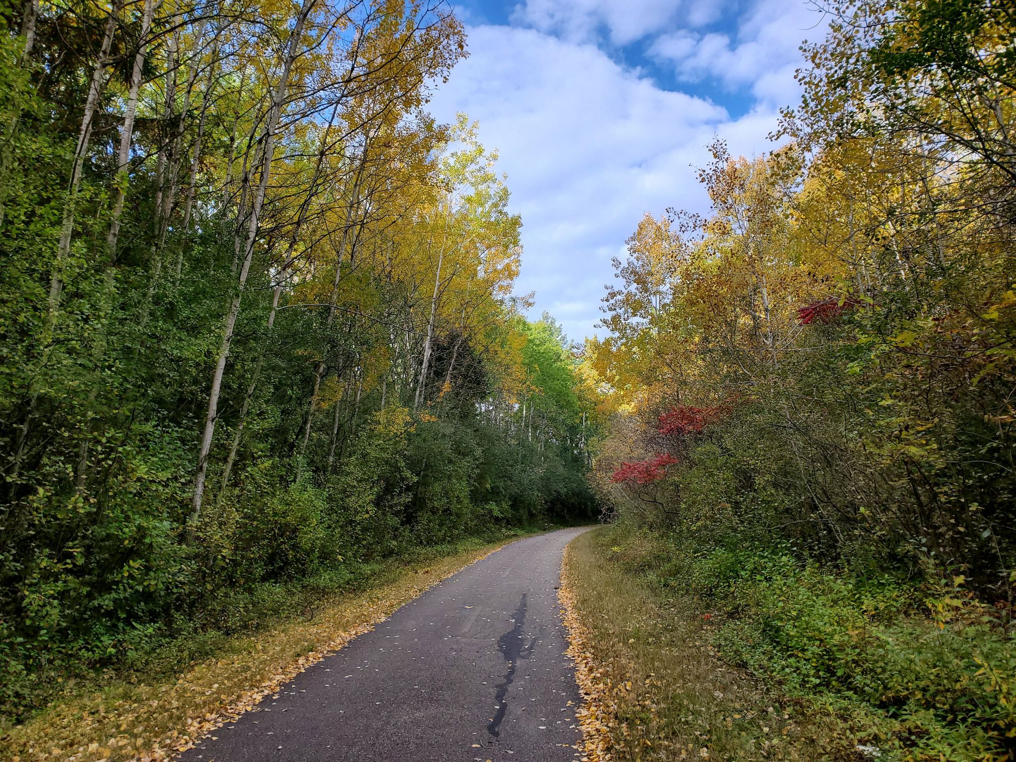 Paved path through a vibrant autumn forest under a bright blue sky. - Glacial Drumlin State Trail loop from Pebble Brook Natural Area