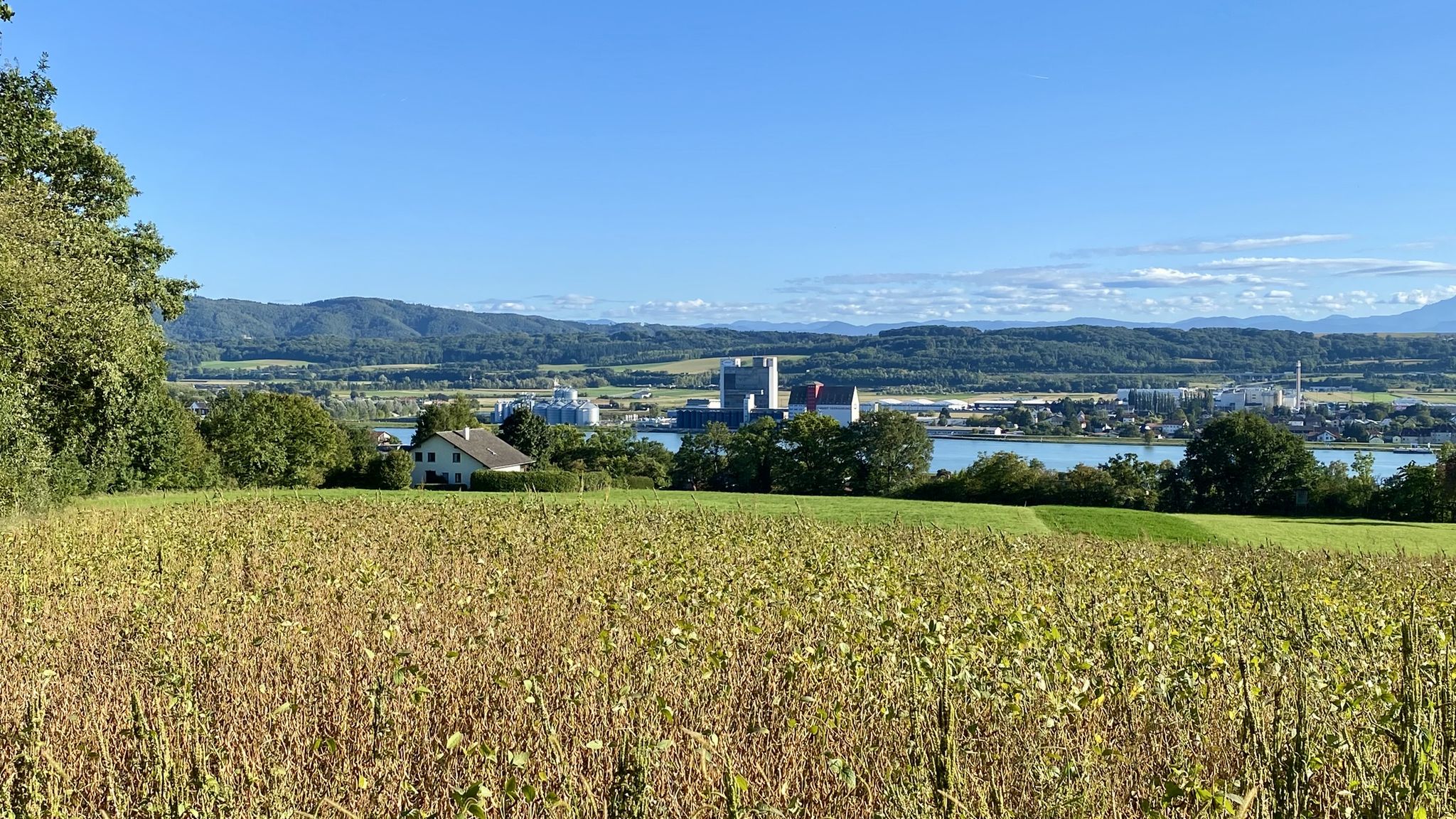 Ausblick vom Rindfleischberg