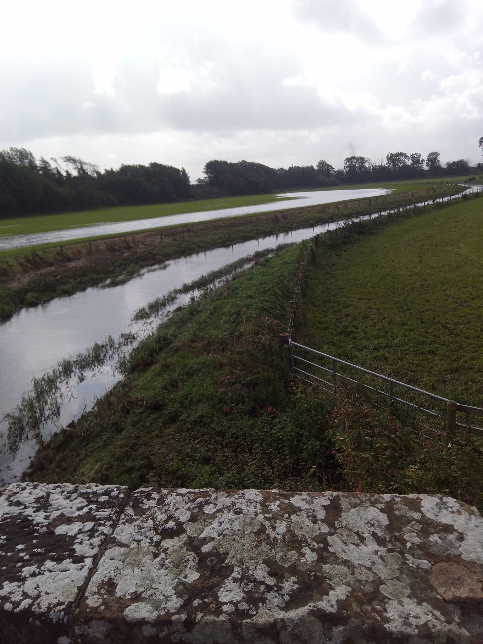flooded
