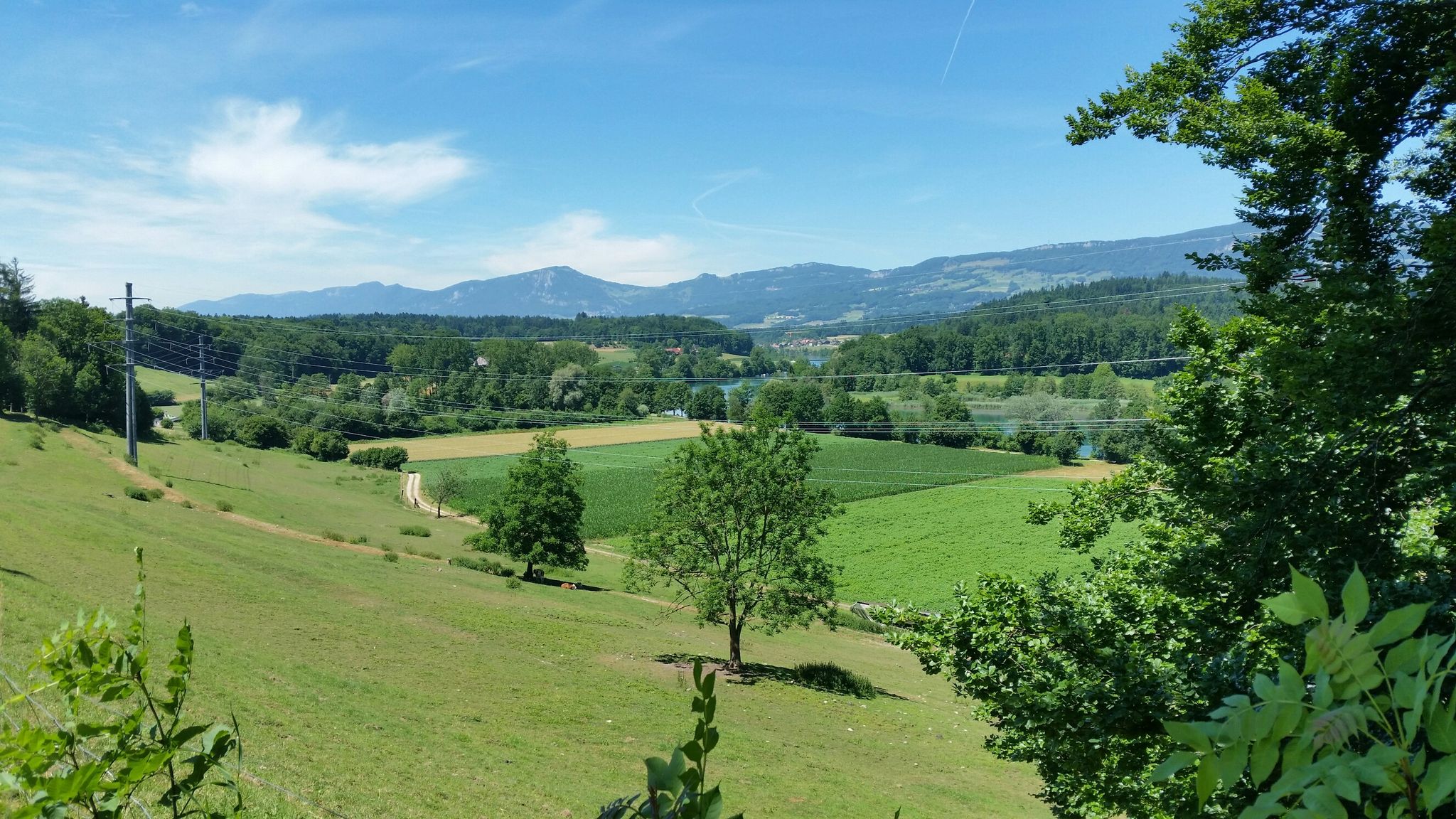 Bei Graben, Aarelandschaft