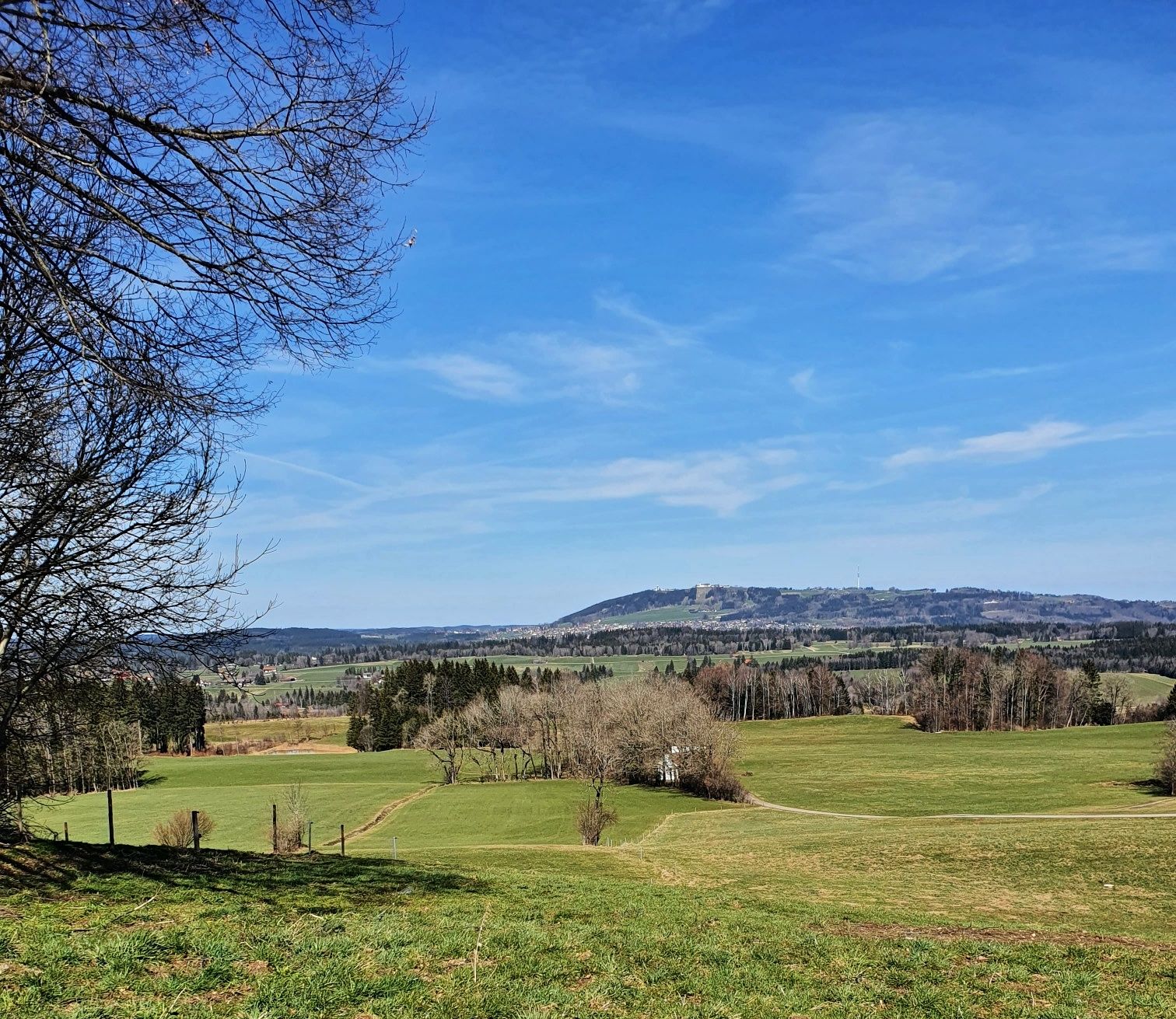 Blick vom Vorderkirnberg zum Peißenberg