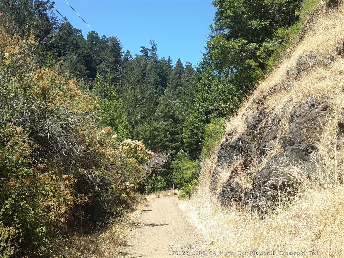 A dirt path runs between a rocky hillside and dense green foliage. - Cross-Marin Trail Bridge – Marie Dhority Bridge loop from Lagunitas-Forest Knolls