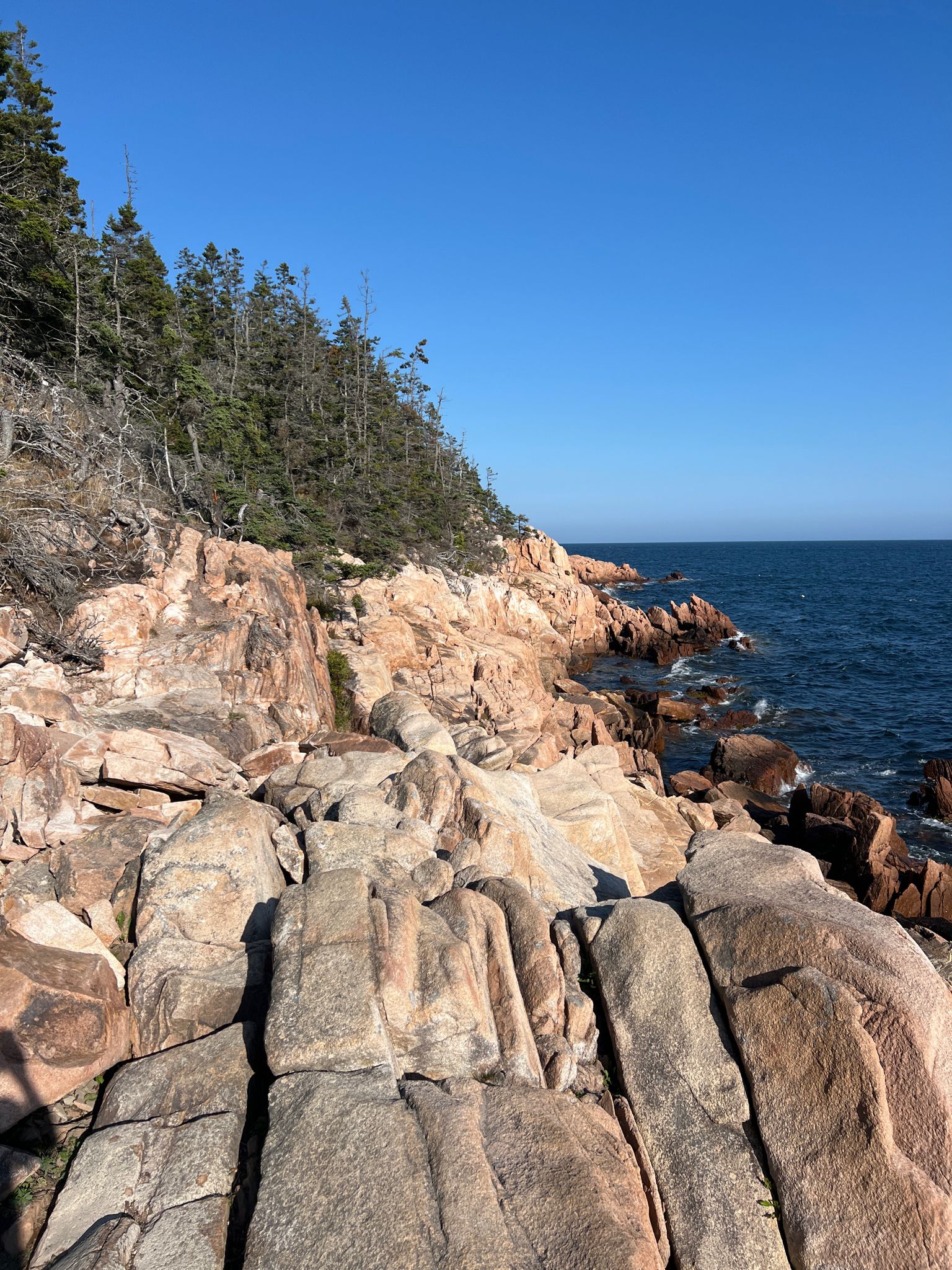 Sunlit rocky coastline with a dense forest overlooking a calm blue ocean. - Bass Harbor Light Station – Bass Harbor Head Light Lookout loop from Keeper's House
