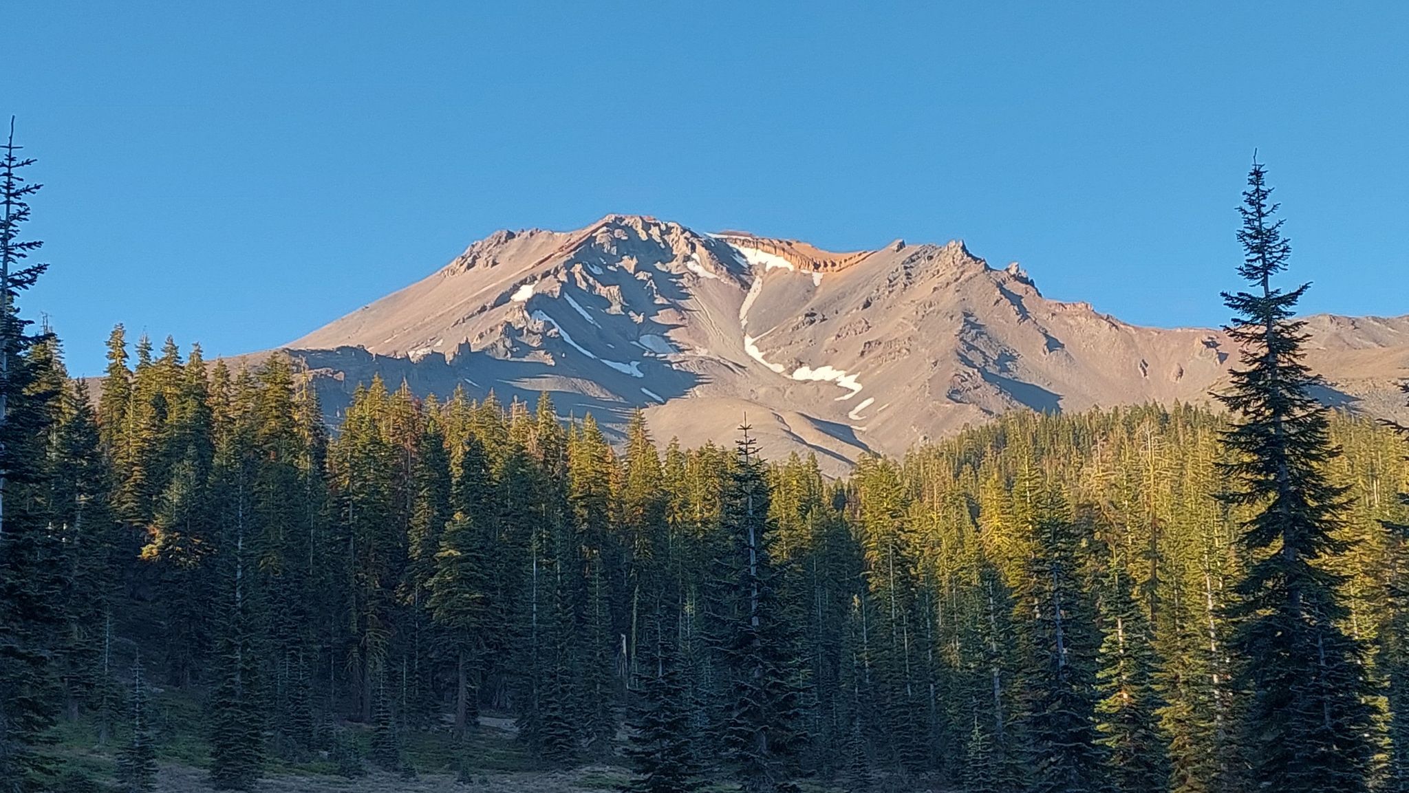 Dense pine forest below a large rocky mountain with snow under a clear sky. - Mount Shasta via Avalanche Gulch Route