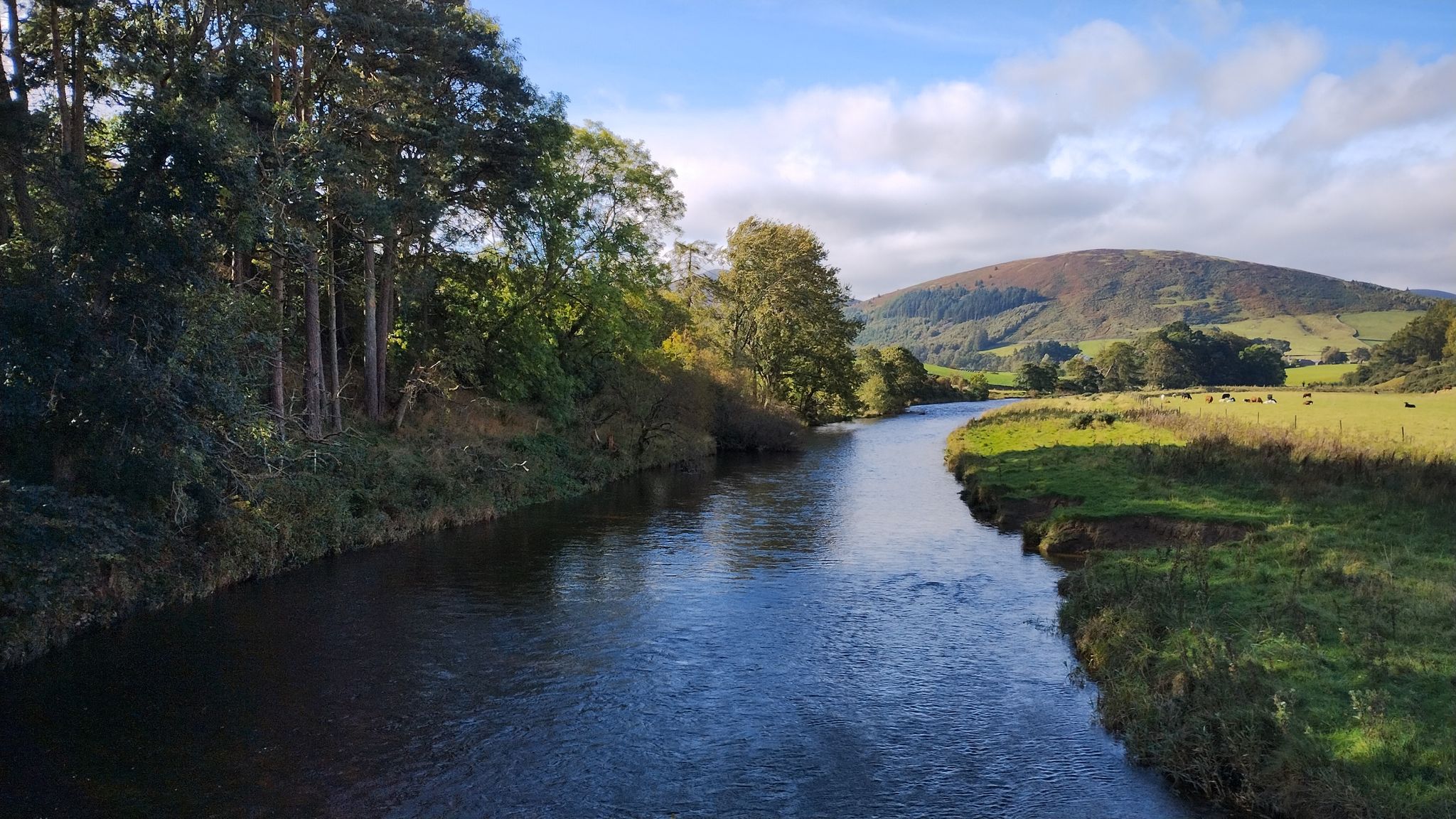 River Tweed near Drumelzier.