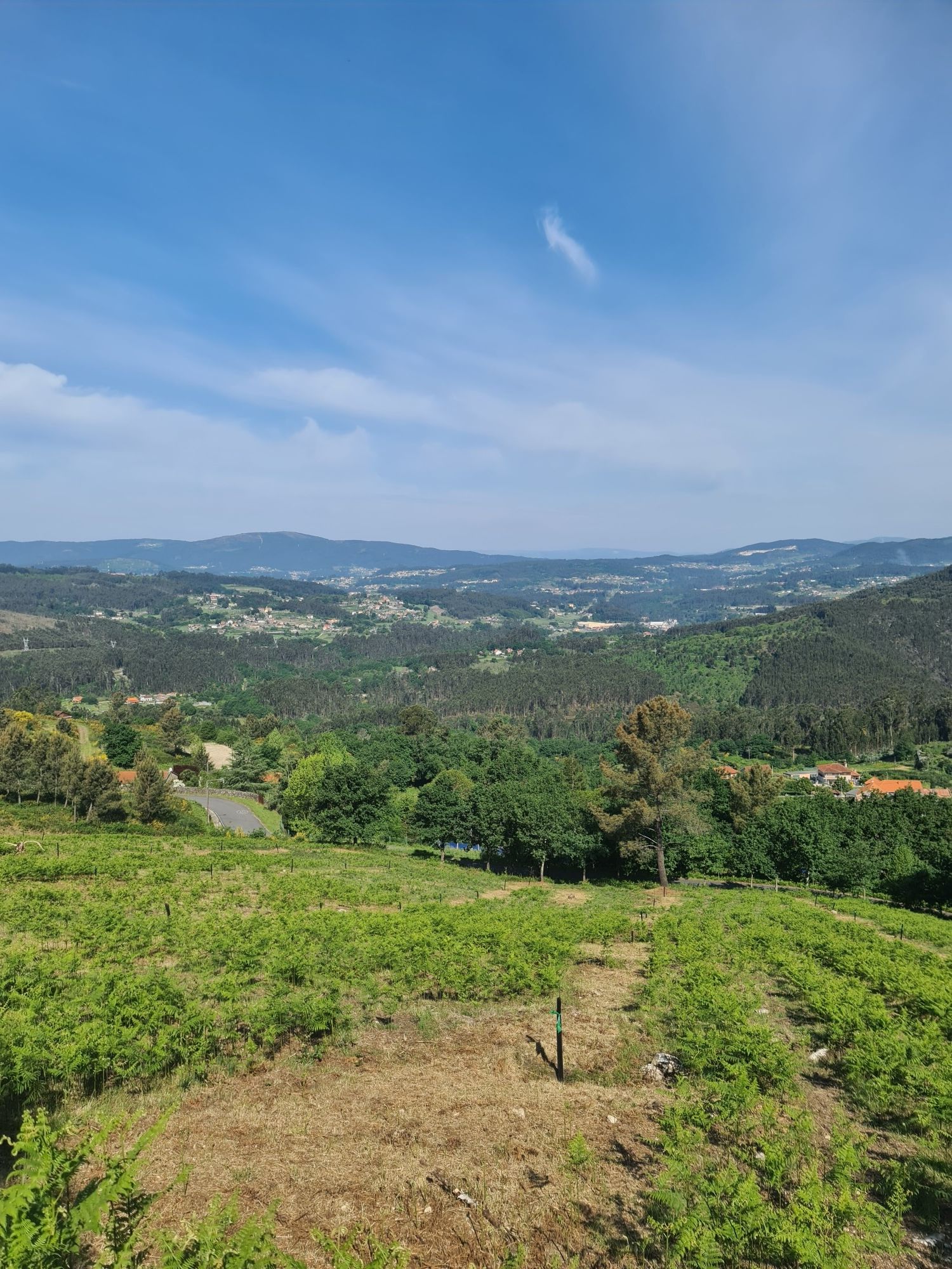 BORA VISTAS