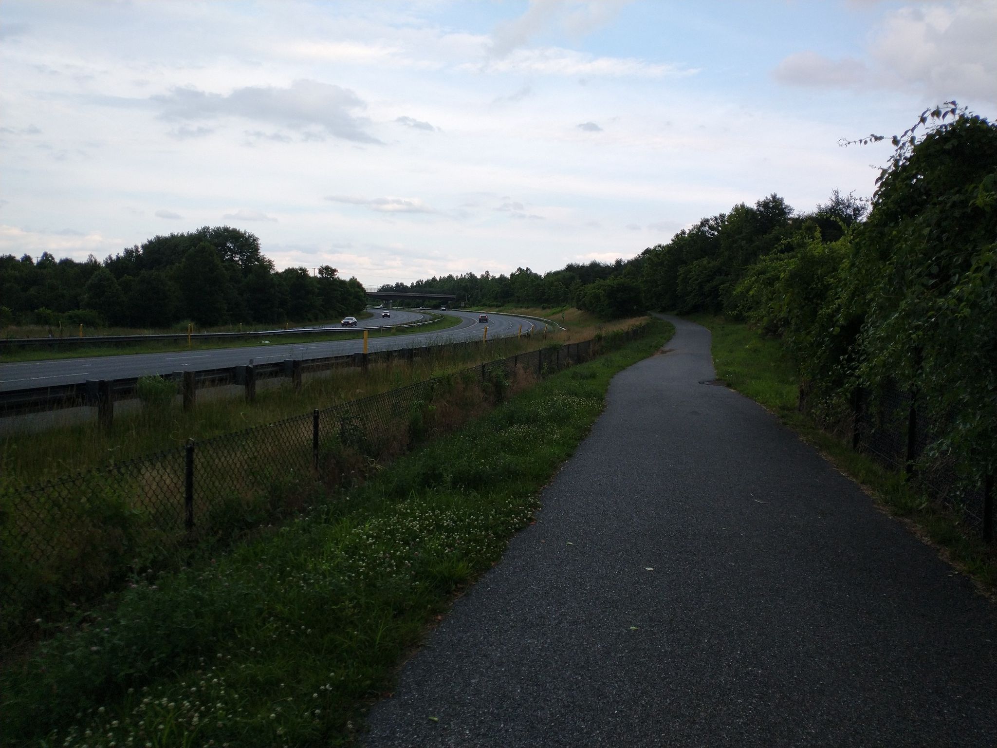 Paved path alongside a highway with trees under an overcast sky. - Lake Needwood loop from Layhill