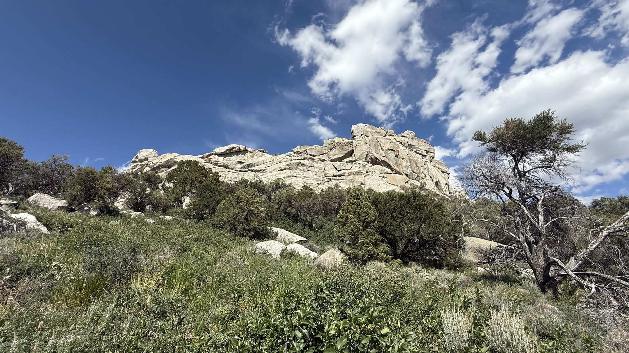 Rocky mountain ridge under a bright blue sky with clouds, green and dry vegetation. - Graham Peak via North Fork Circle Creek