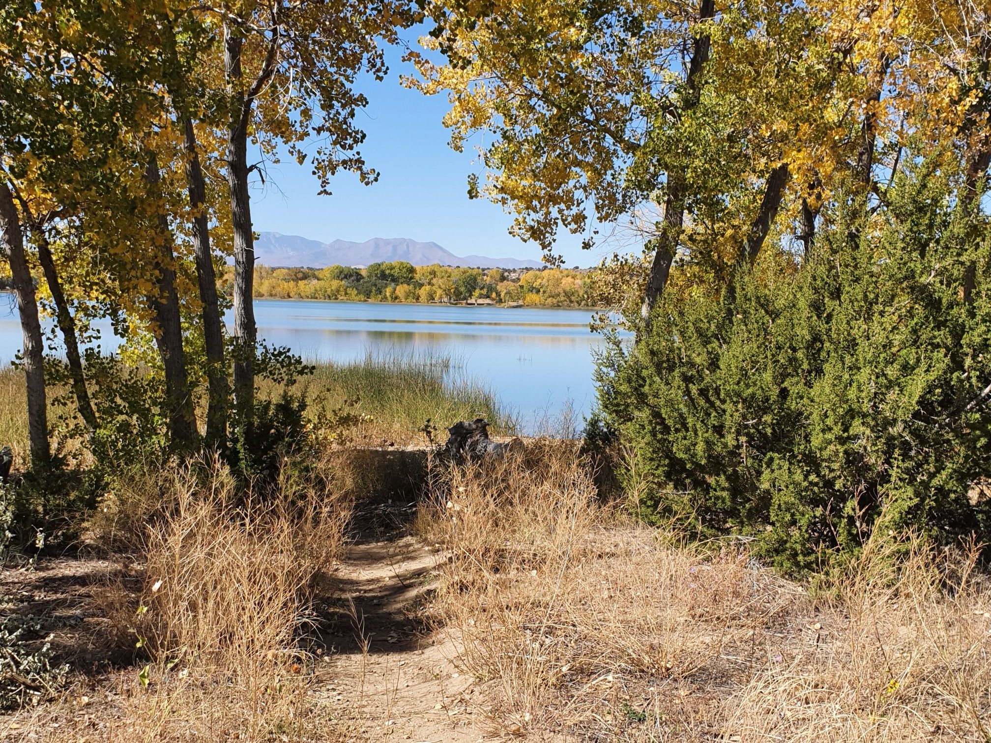 Sunny view of a calm lake through autumn trees and a dry path. - Cuerno Verde Trail