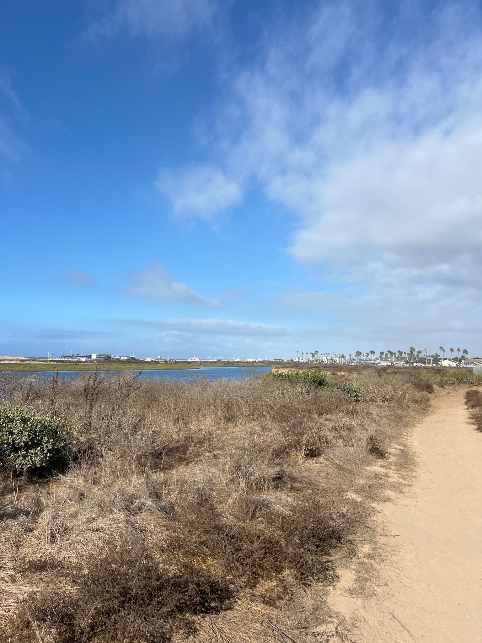 A dirt path alongside dry marshland and blue water under a bright sky. - Wintersburg Channel Loop Trail