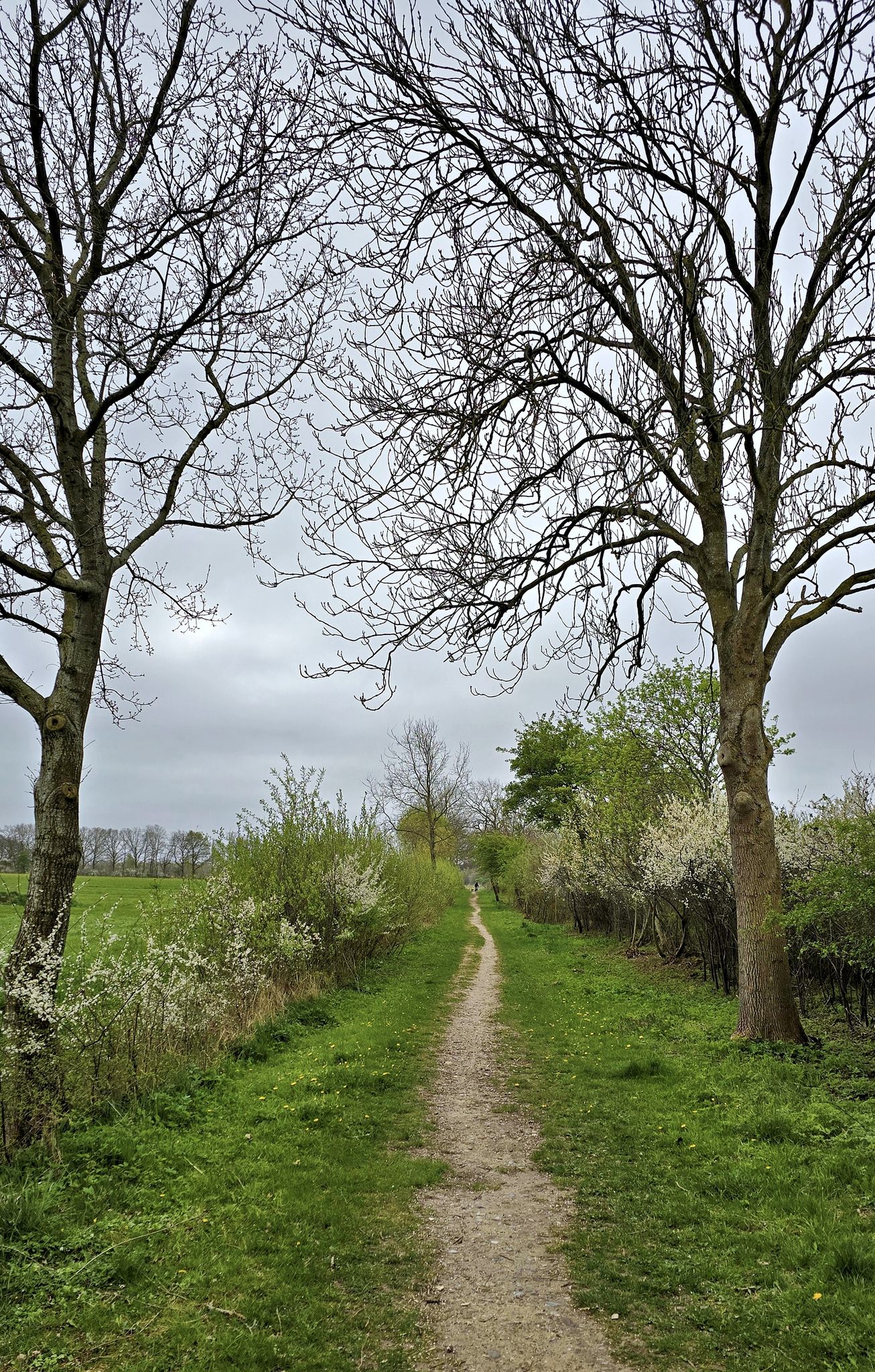 Feld- und Wanderweg