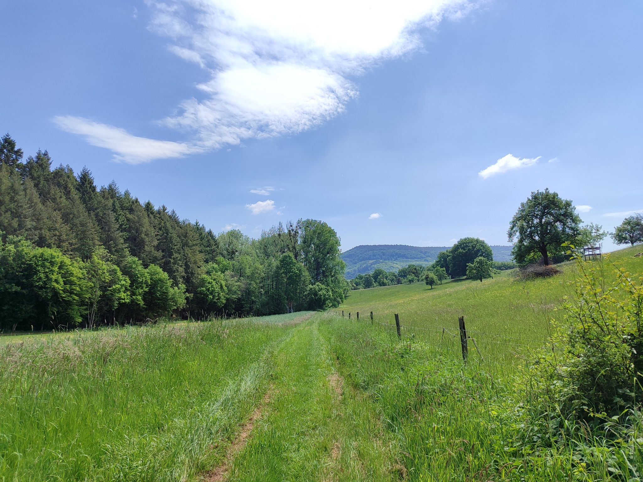 Orchideenweg