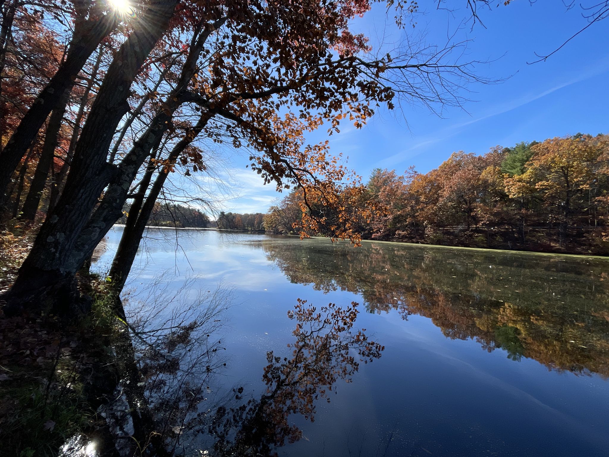 Autumn trees with red leaves reflecting in a calm lake on a sunny day. - Nashua River Rail Trail – Nashua River Rail Trail loop from Groton