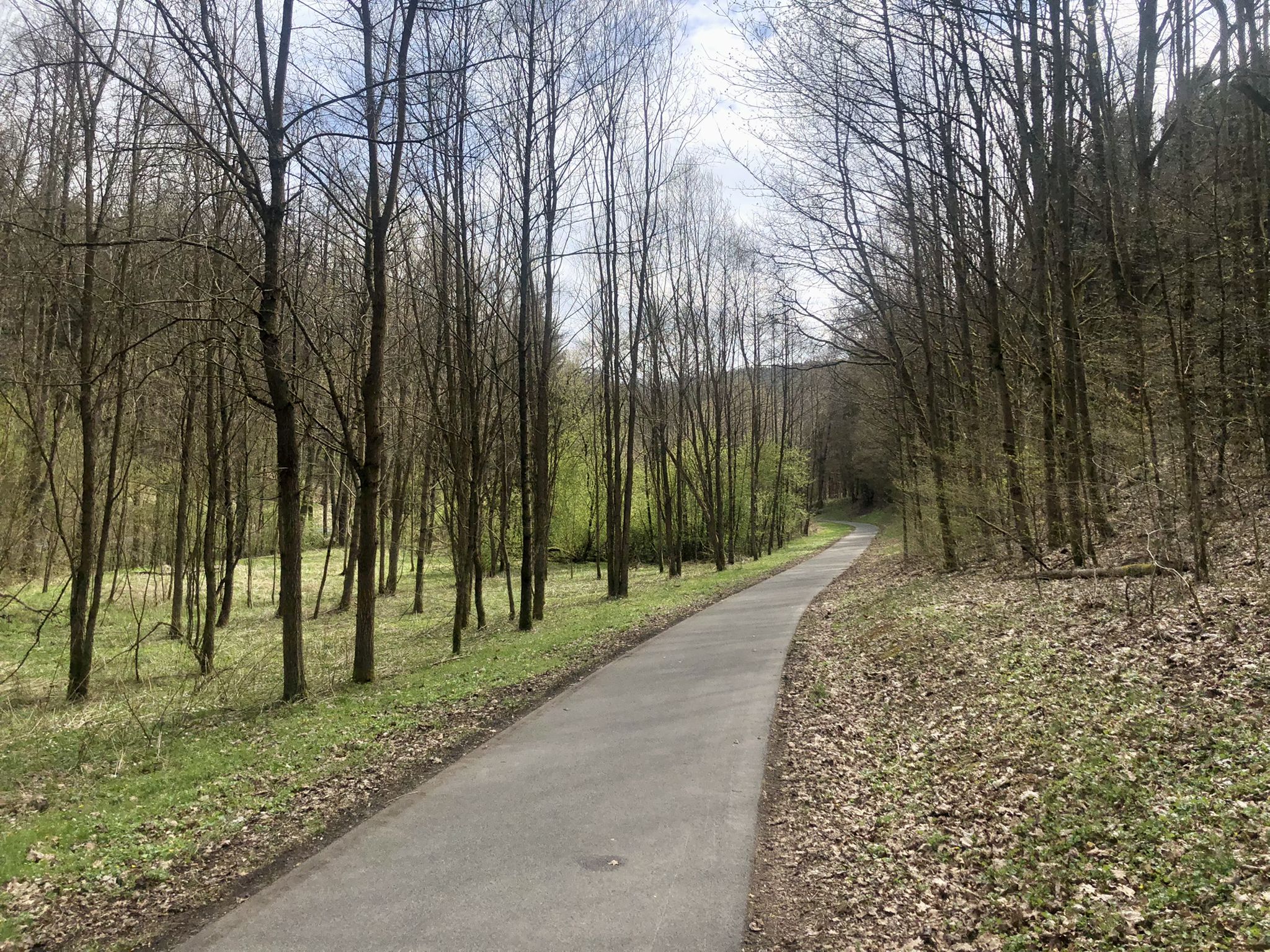 Fischbachtal